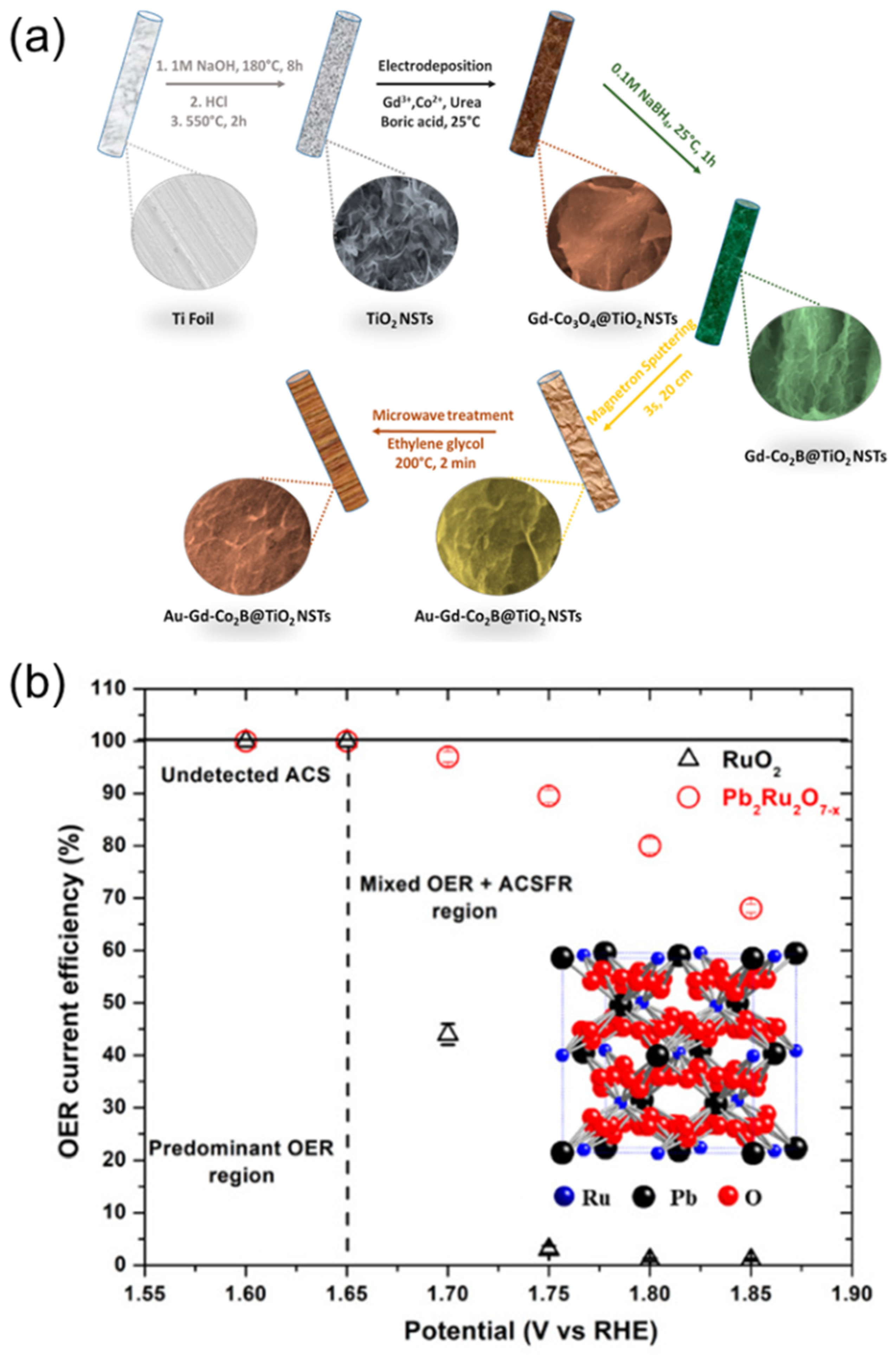 Coatings 12 00659 g005 550