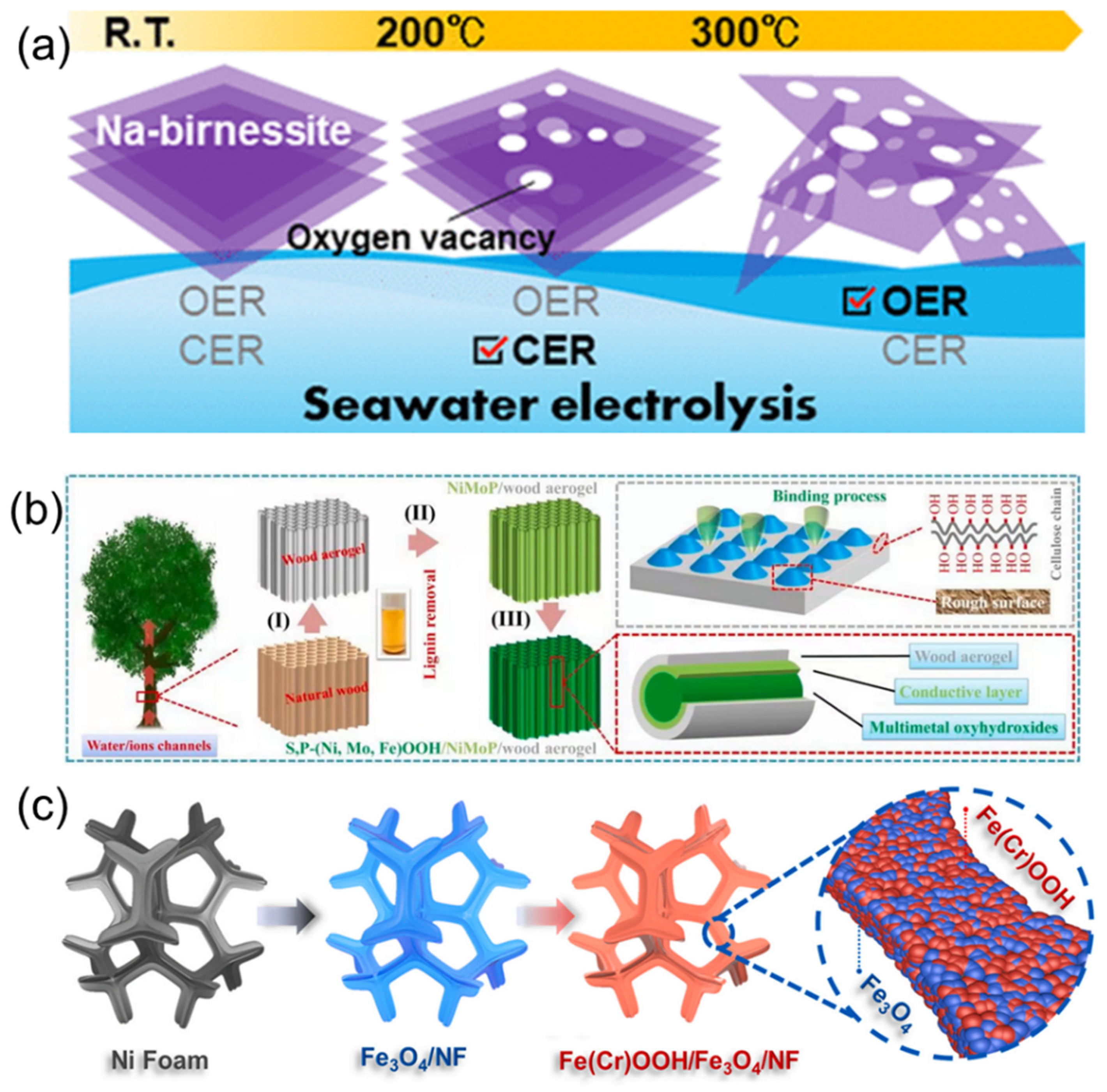 Coatings 12 00659 g007 550