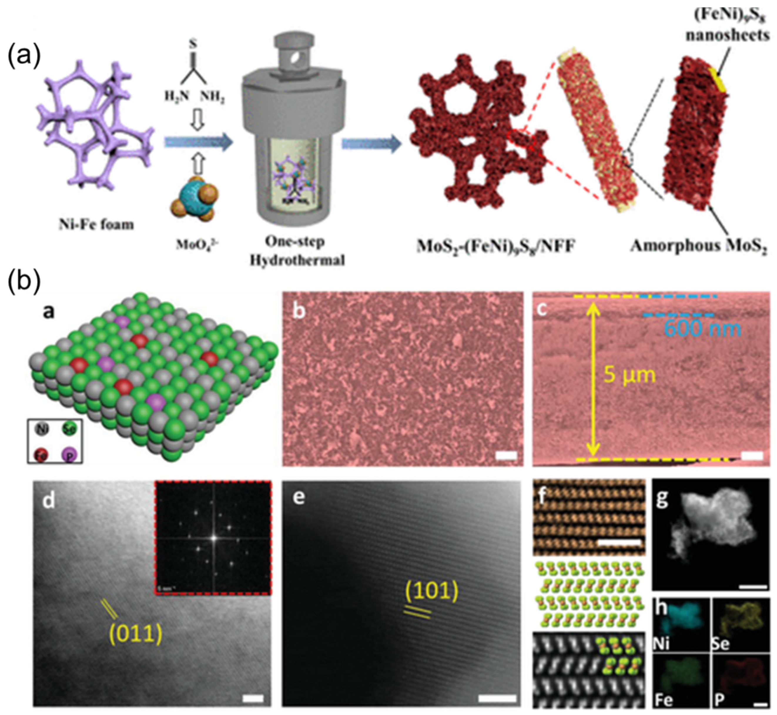 Coatings 12 00659 g009 550