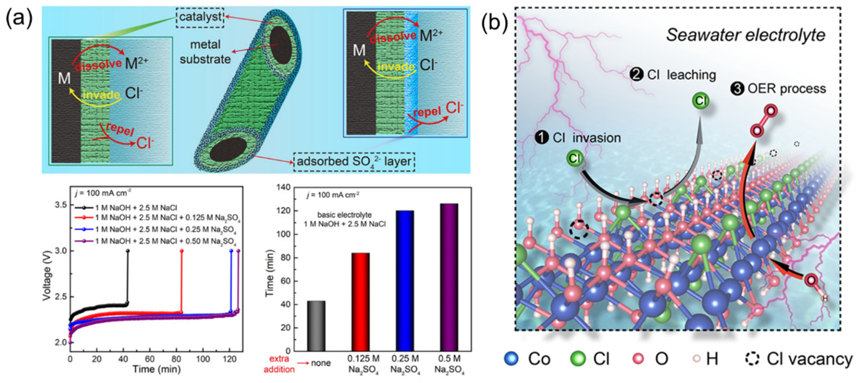 Coatings 12 00659 g012 550
