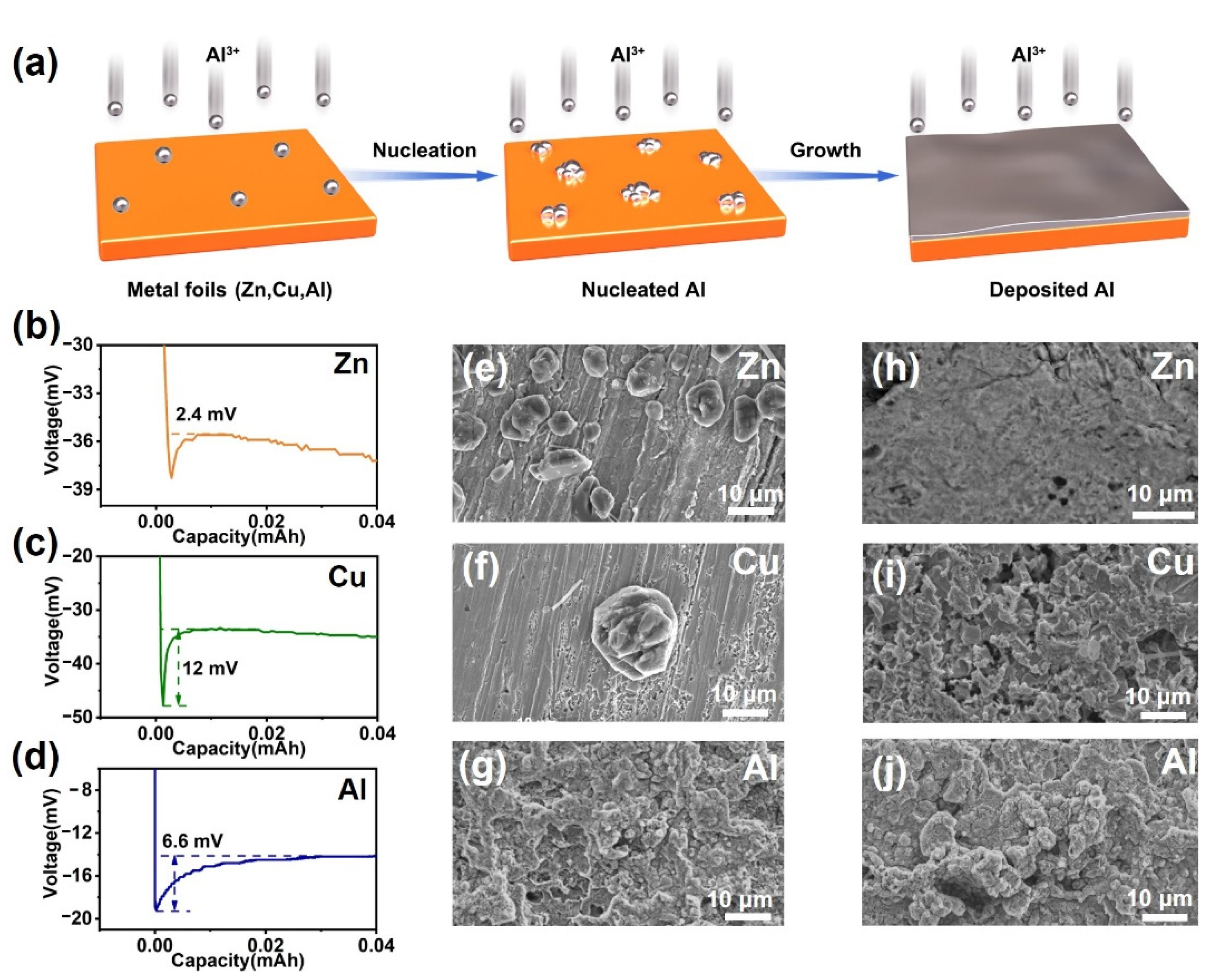 Coatings 12 00661 g001