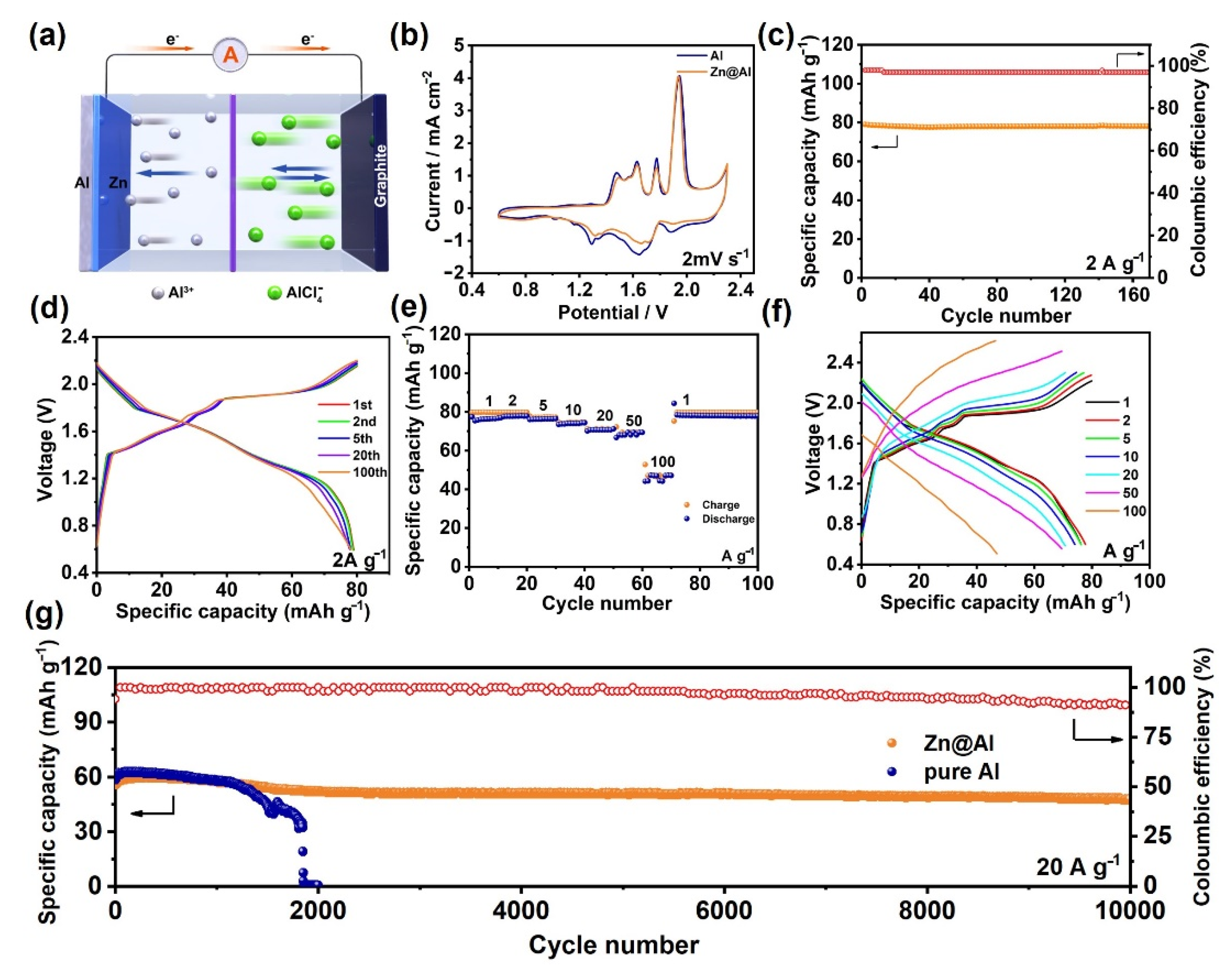 Coatings 12 00661 g003