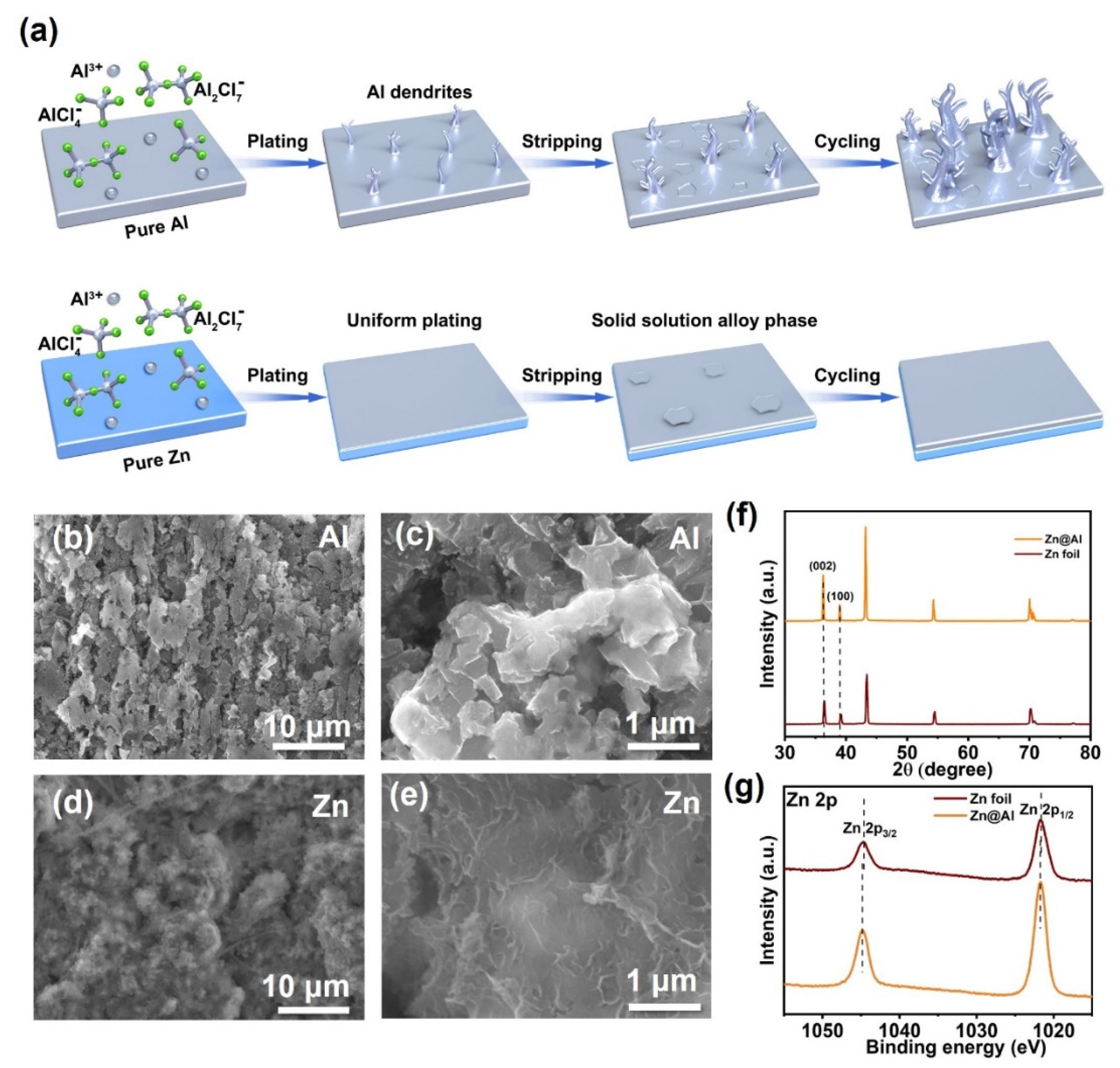 Coatings 12 00661 g004