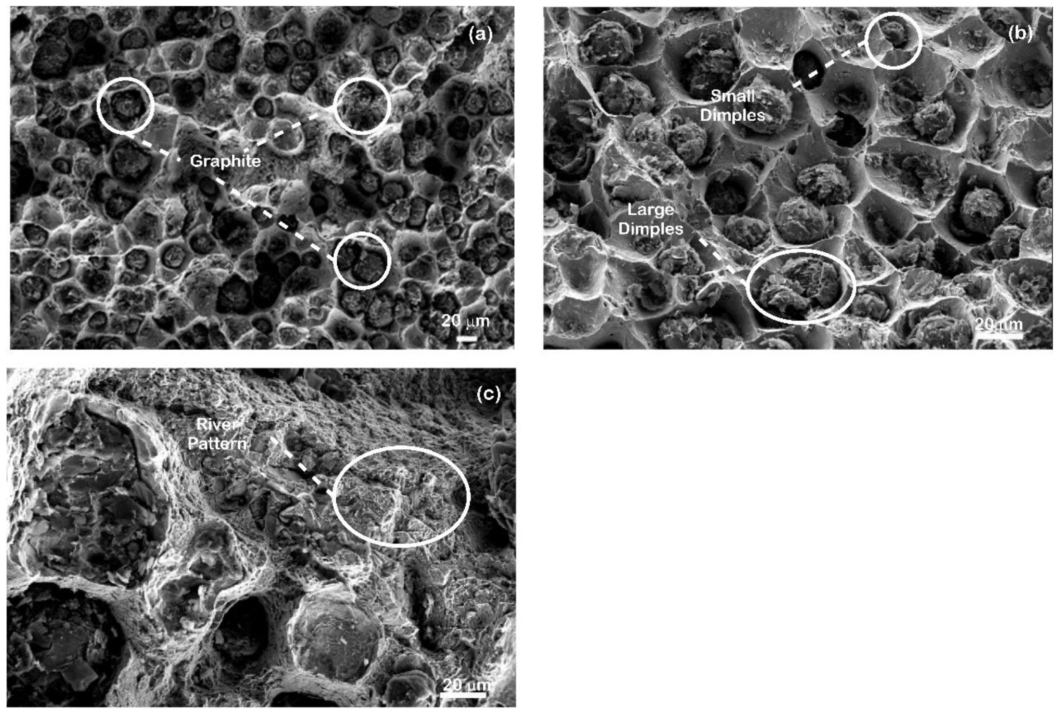 Coatings 12 00663 g013 550