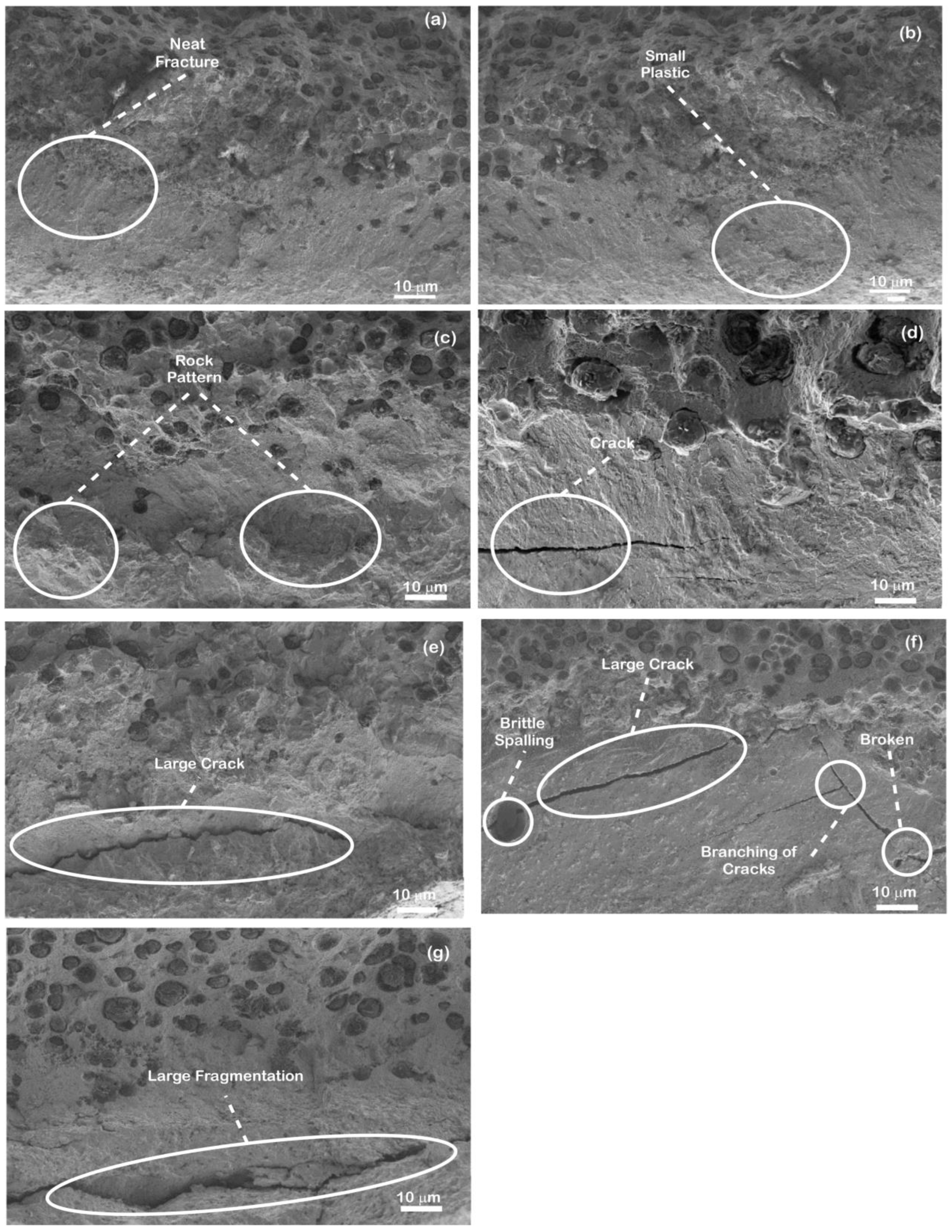 Coatings 12 00663 g014 550
