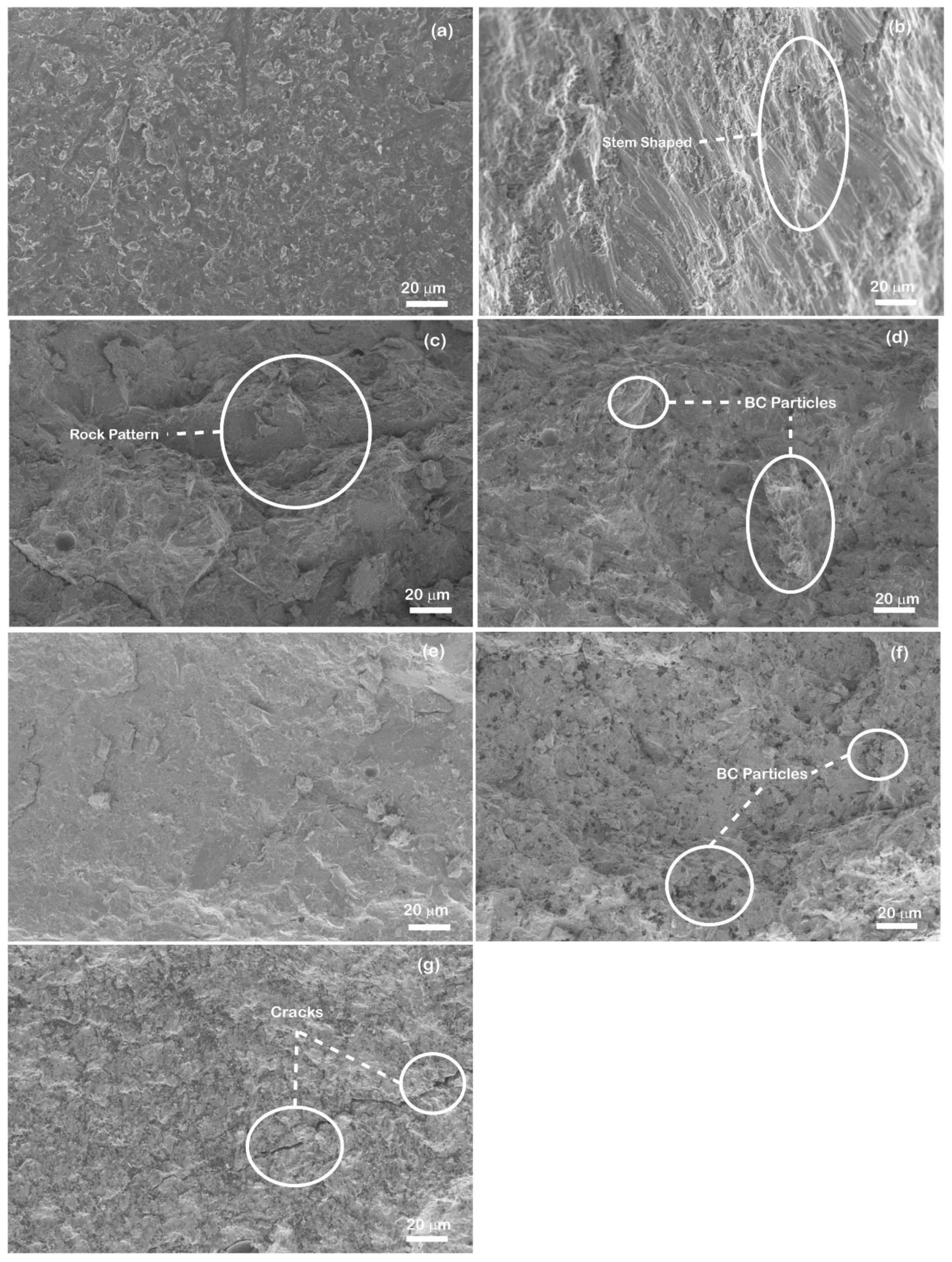 Coatings 12 00663 g015 550