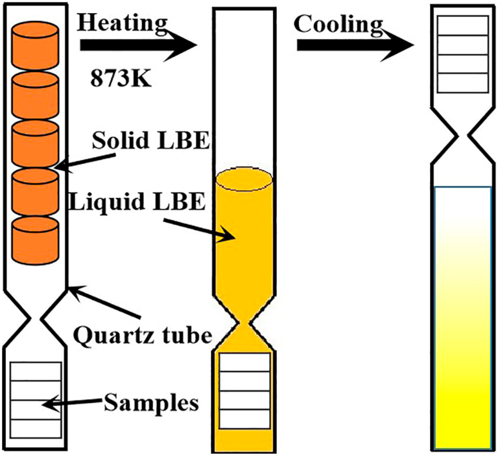 Coatings 12 00667 g003 550