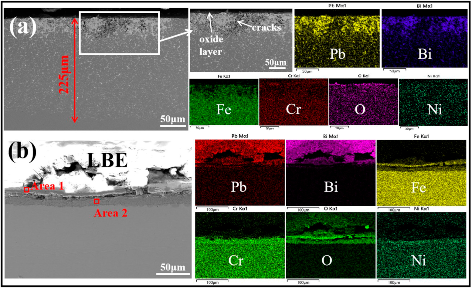 Coatings 12 00667 g008 550
