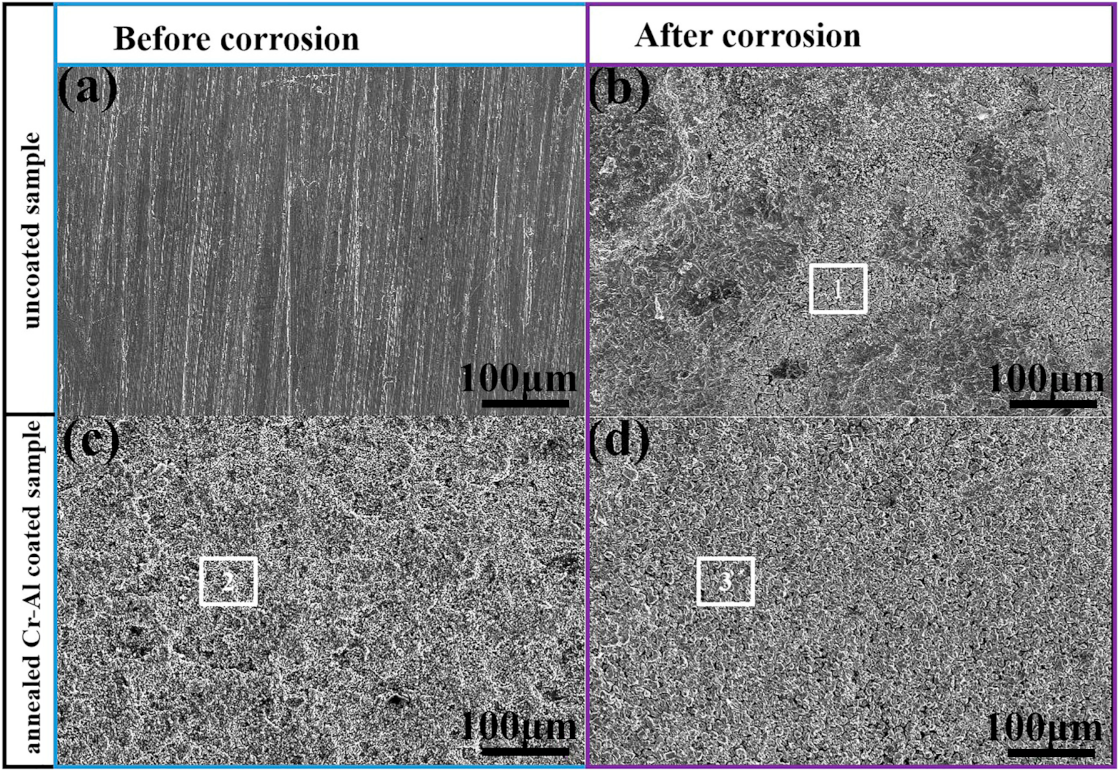 Coatings 12 00667 g010 550
