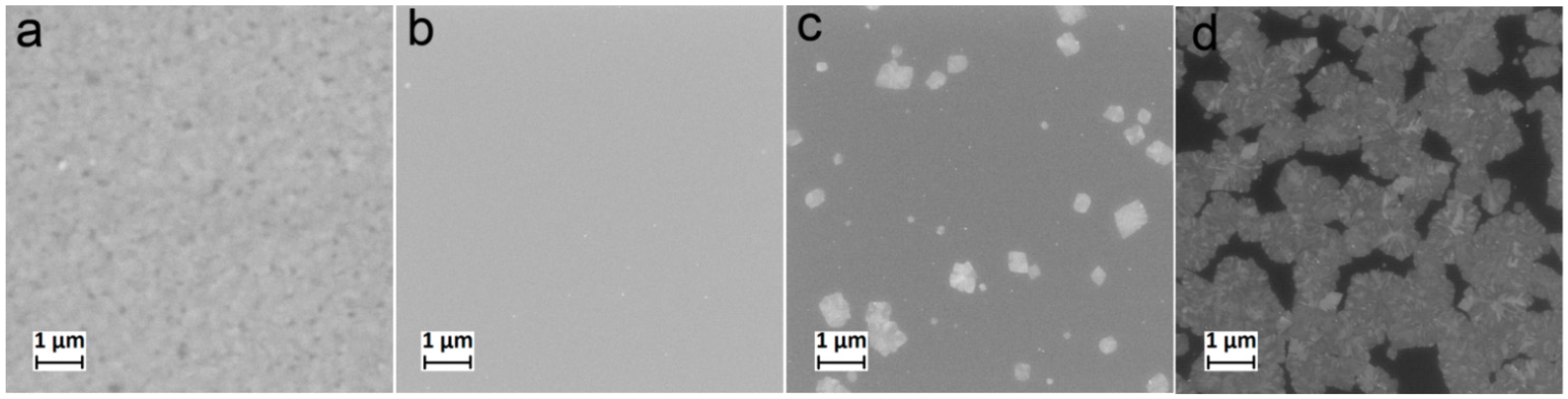 Coatings 12 00668 g002 550
