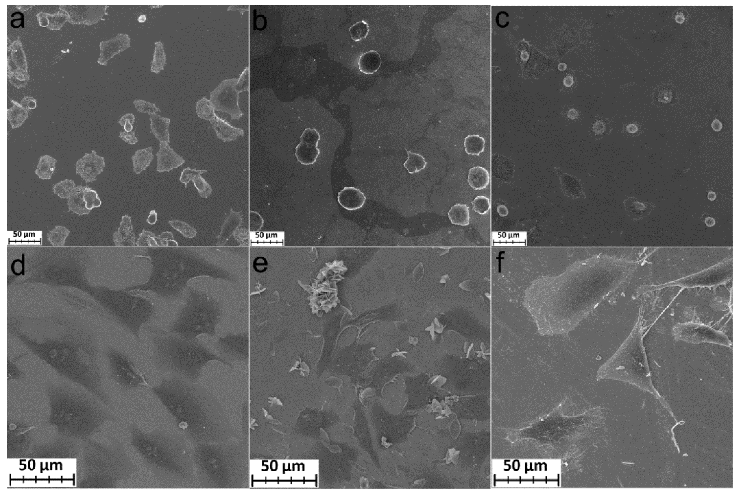 Coatings 12 00668 g008 550