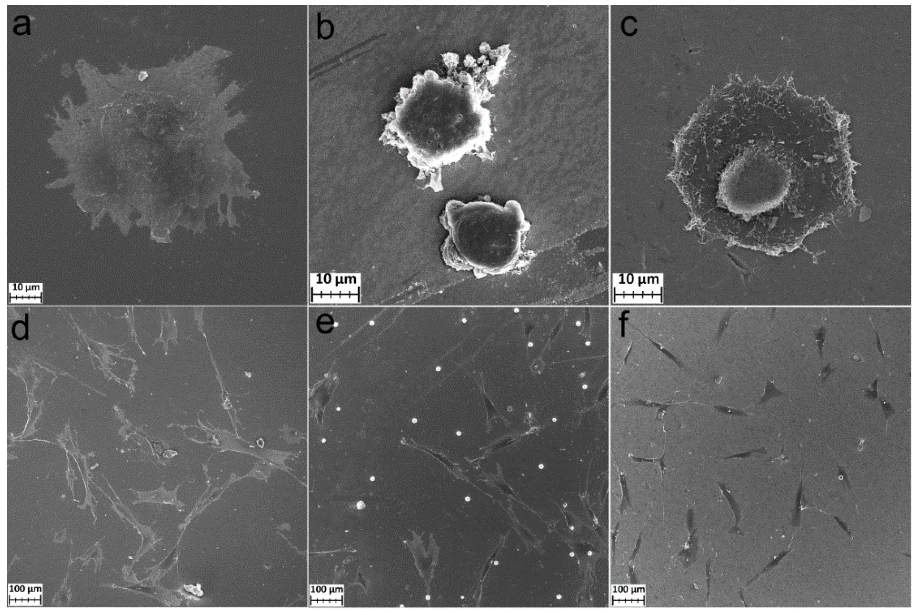 Coatings 12 00668 g009 550