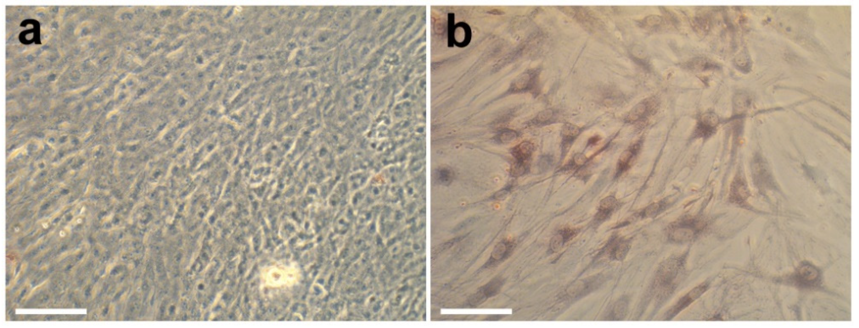 Coatings 12 00668 g012 550
