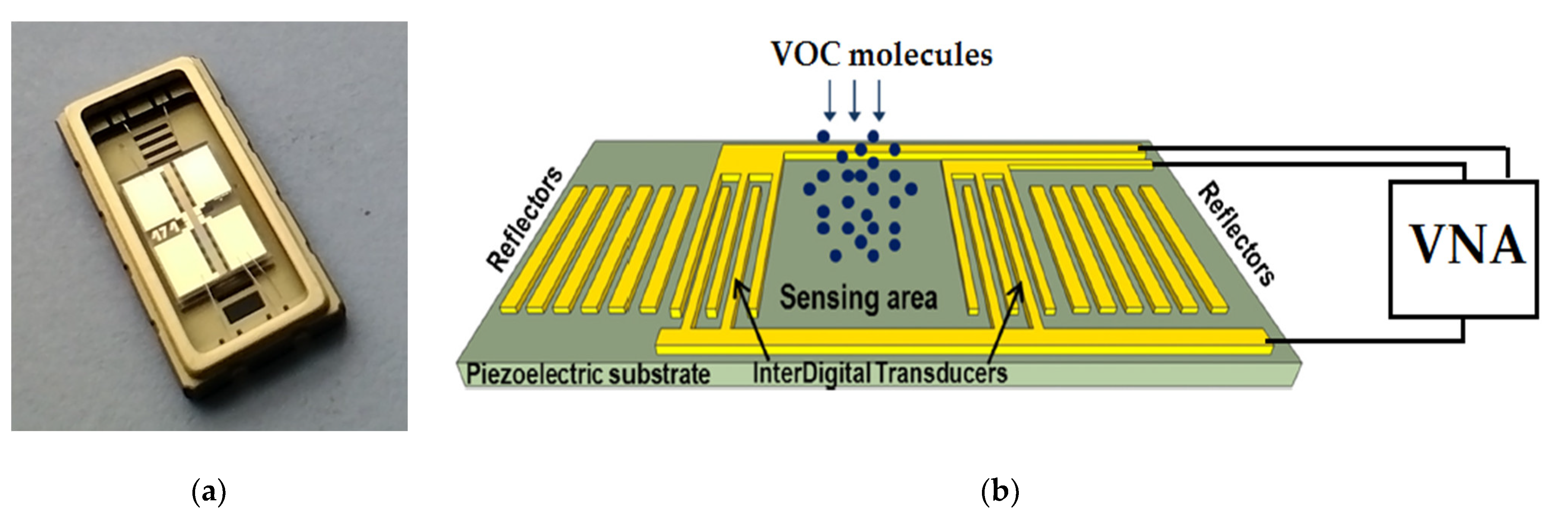Coatings 12 00669 g002