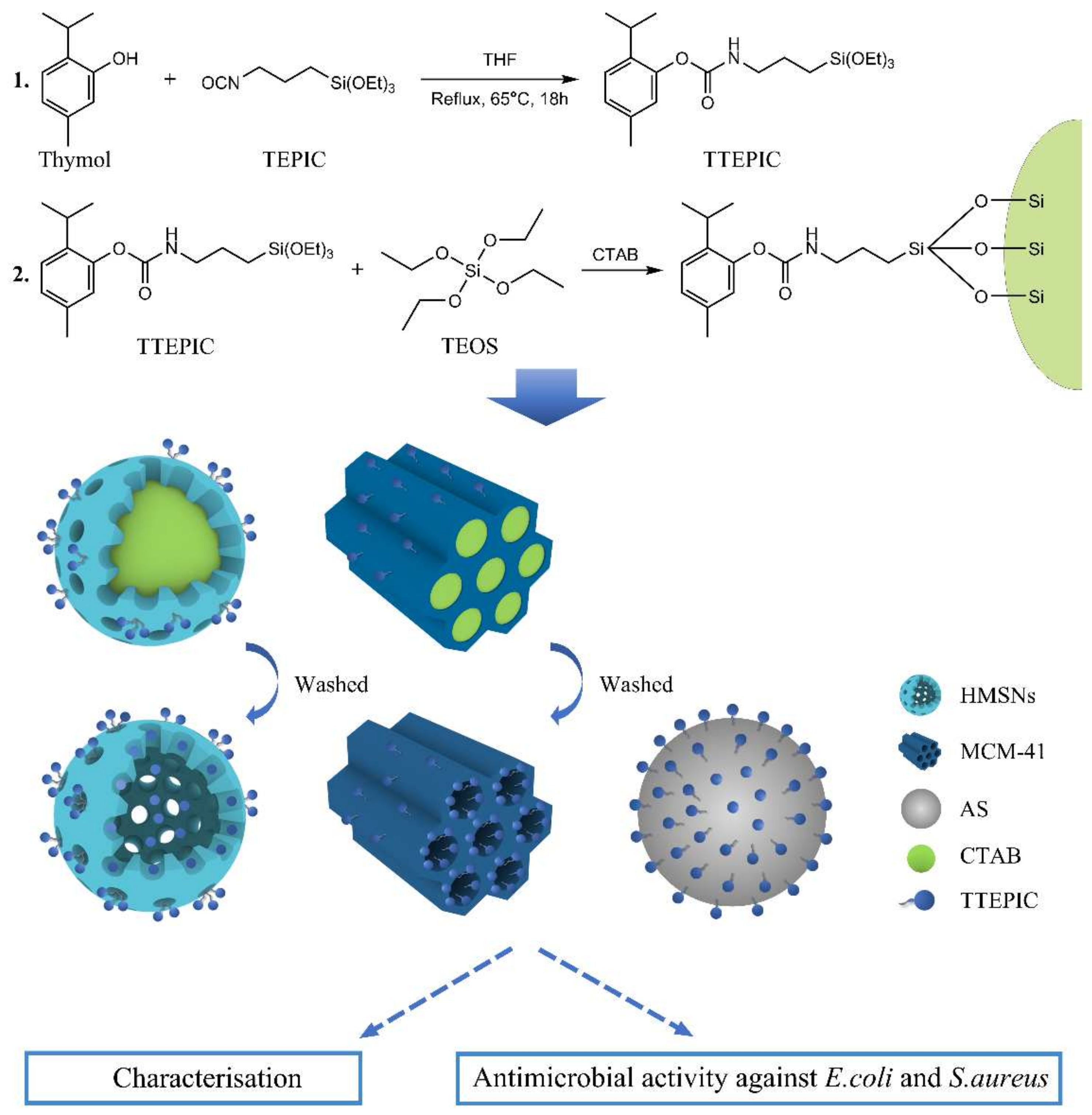 Coatings 12 00671 g001