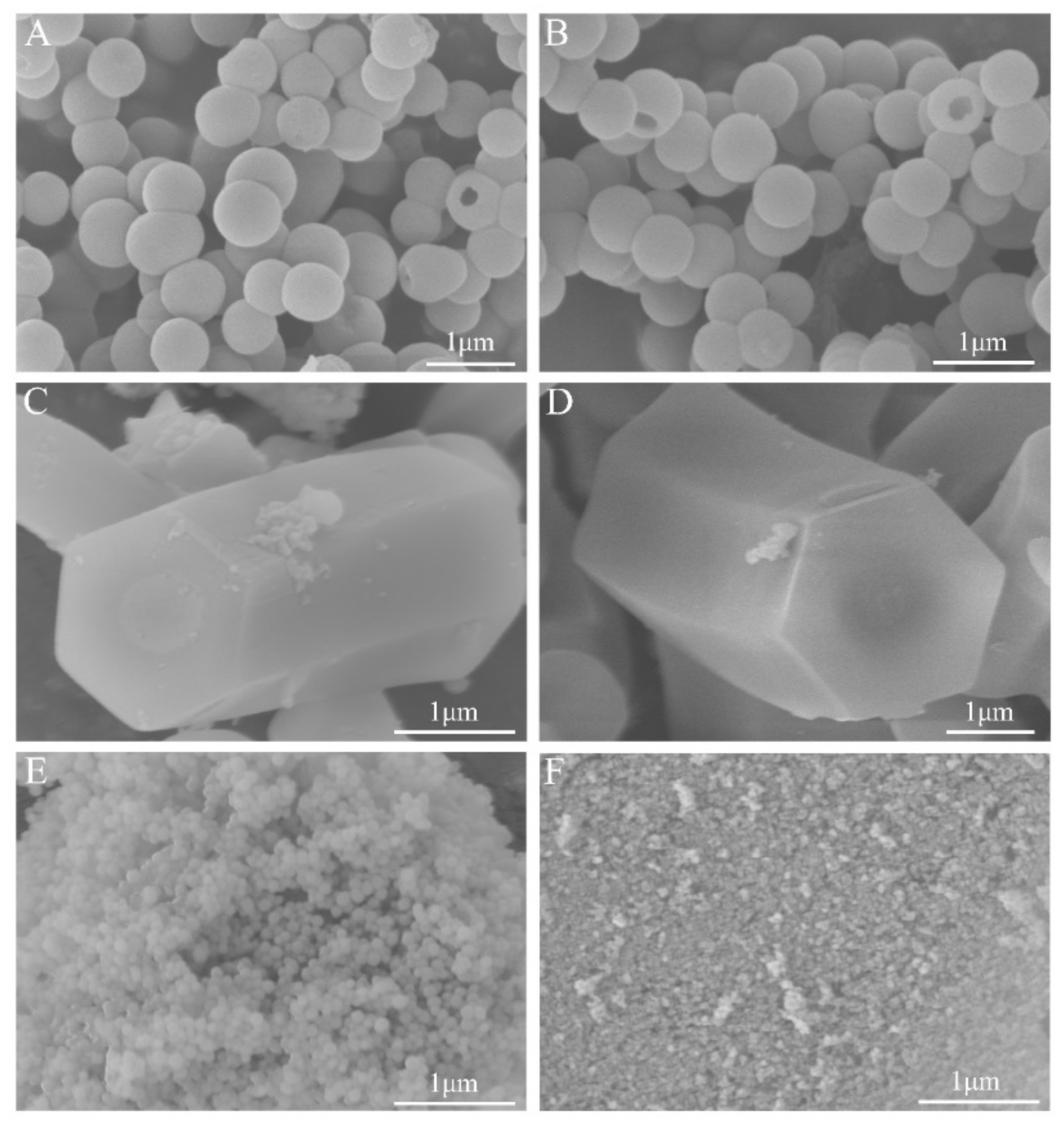 Coatings 12 00671 g002