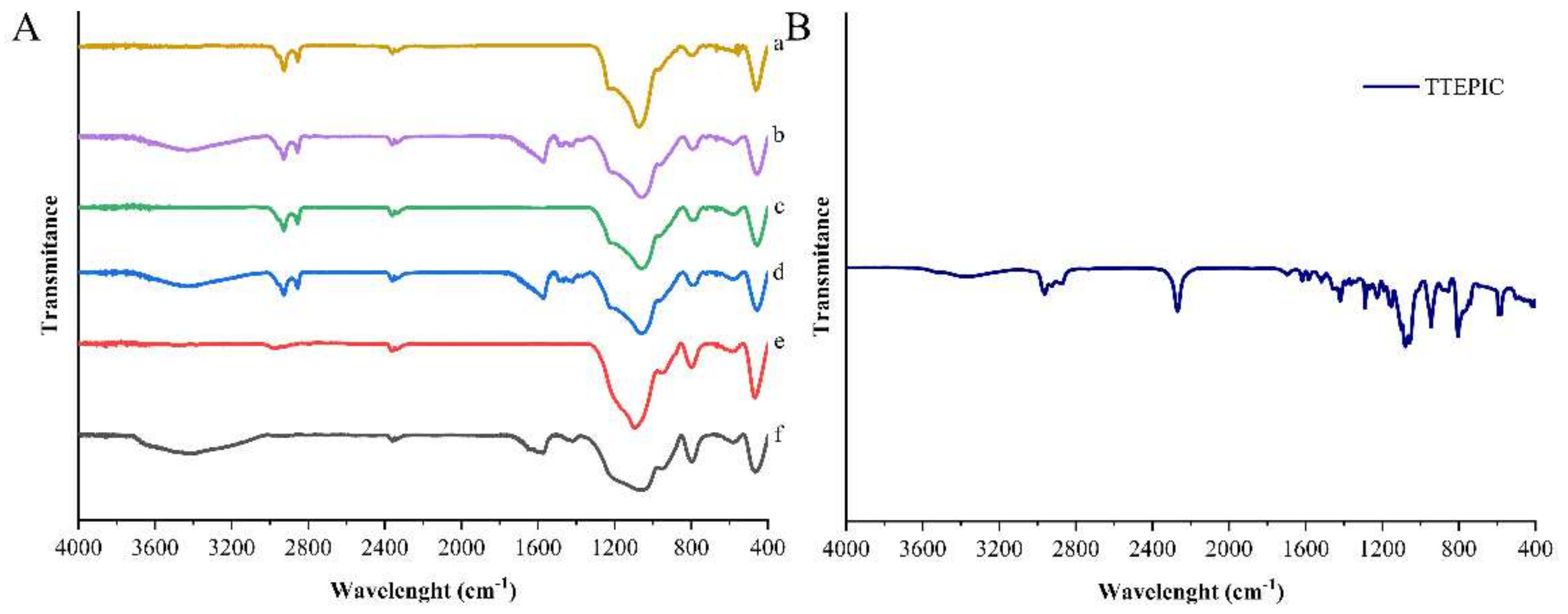 Coatings 12 00671 g003