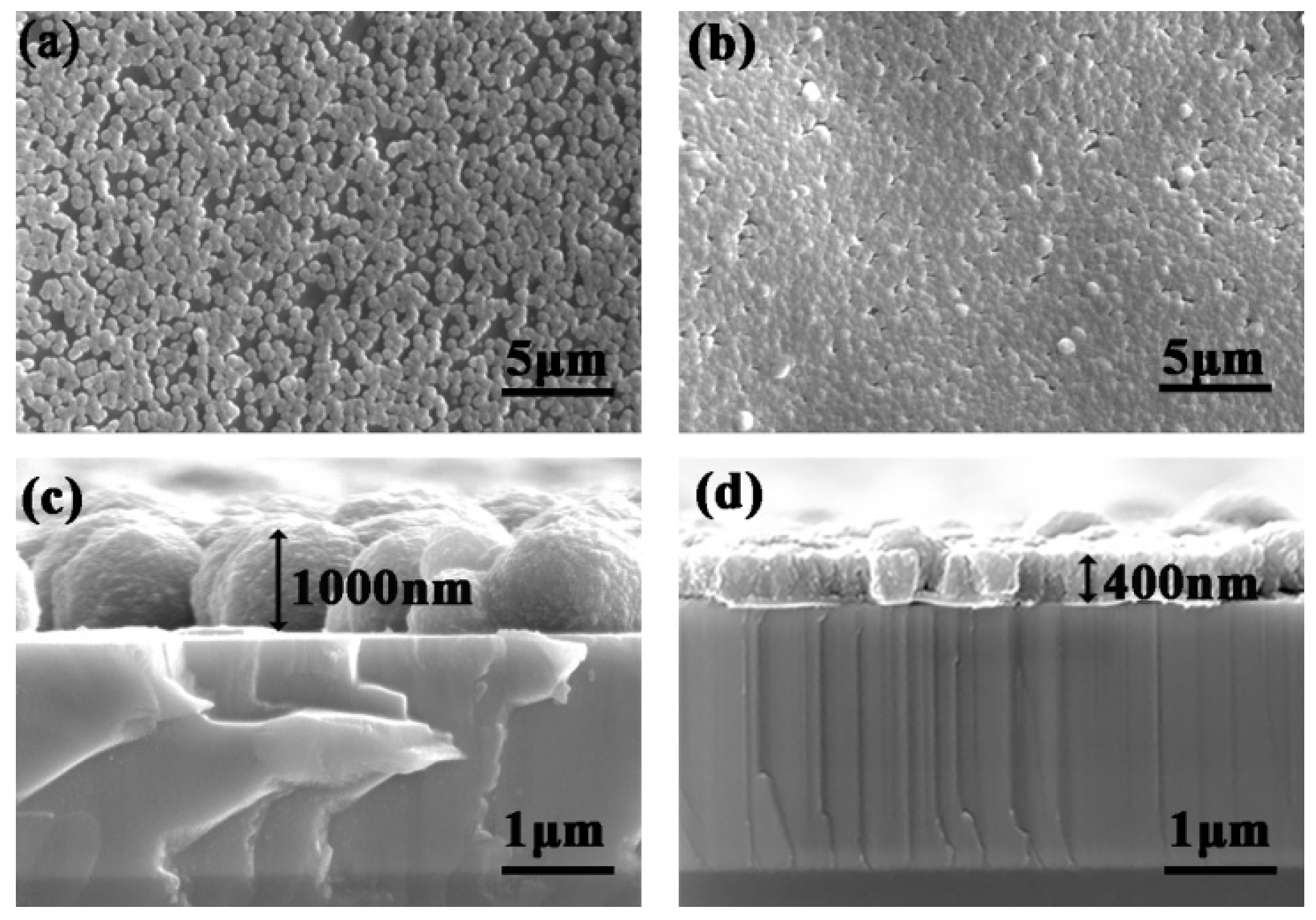 Coatings 12 00672 g005 550