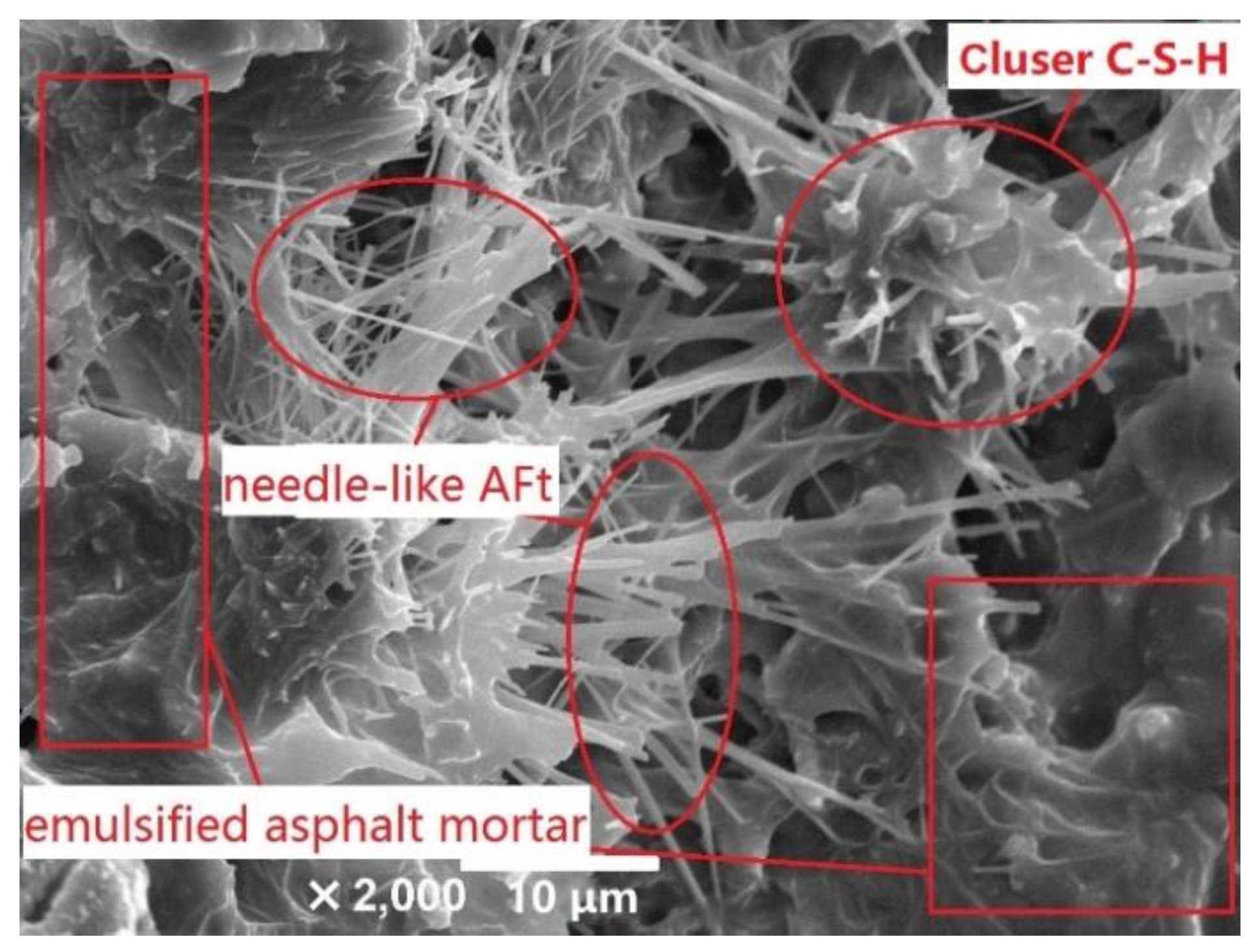 Coatings 12 00674 g006