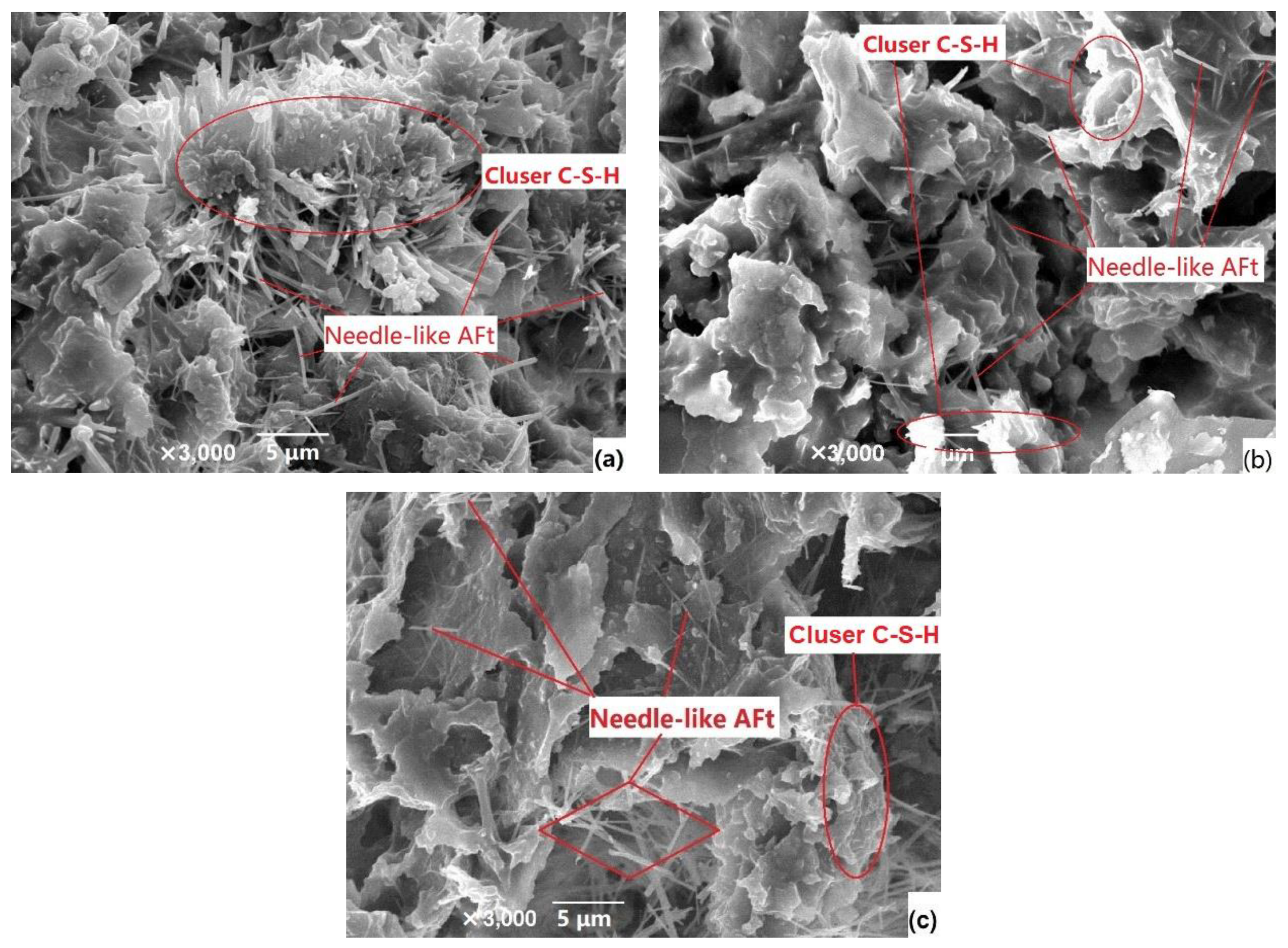Coatings 12 00674 g007