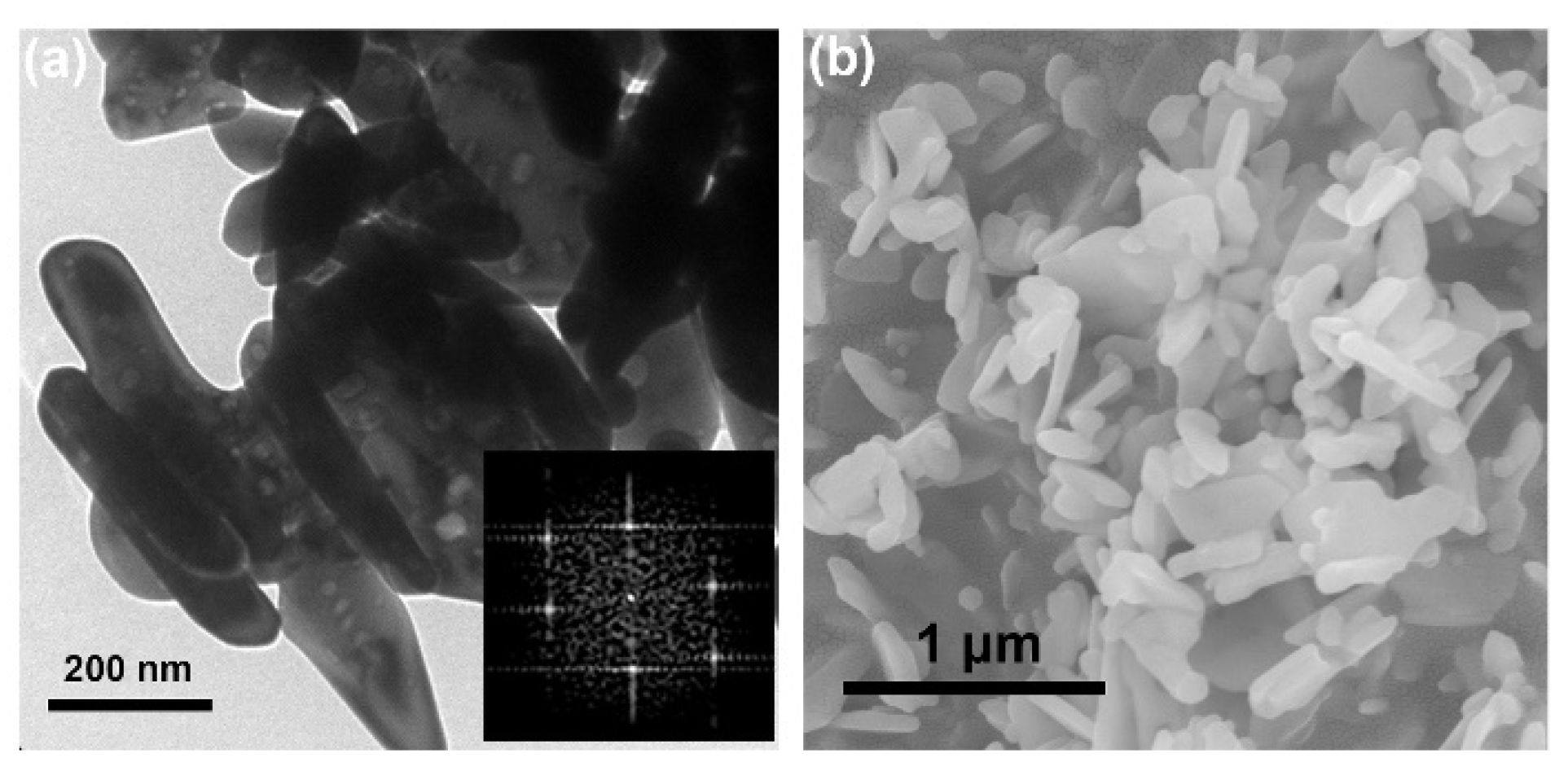 Coatings 12 00677 g003