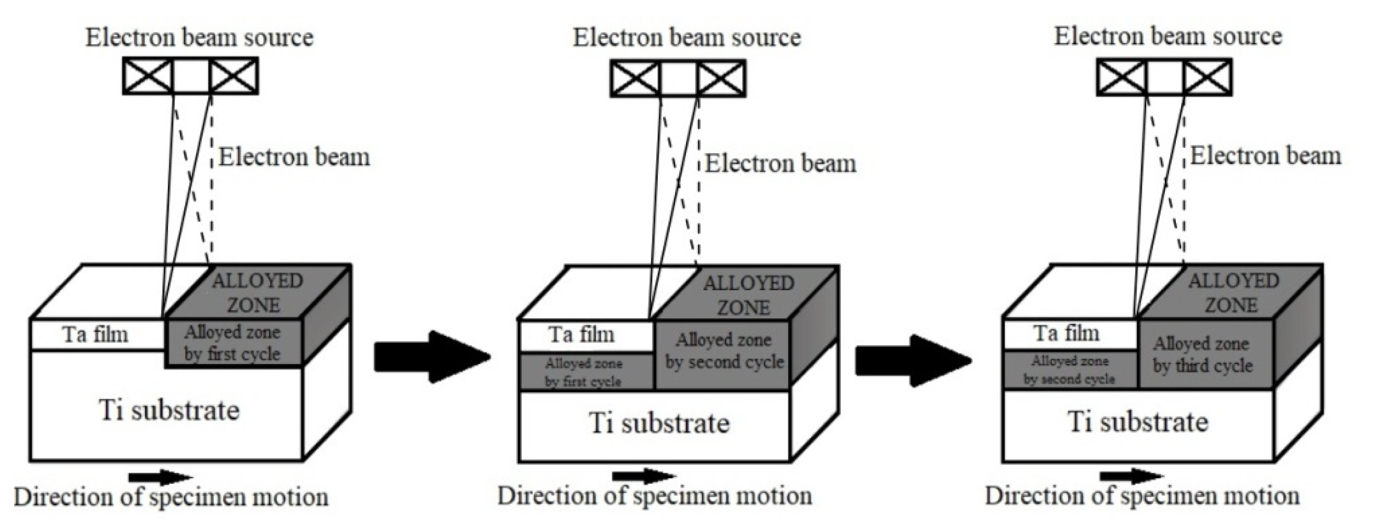 Coatings 12 00678 g001 550