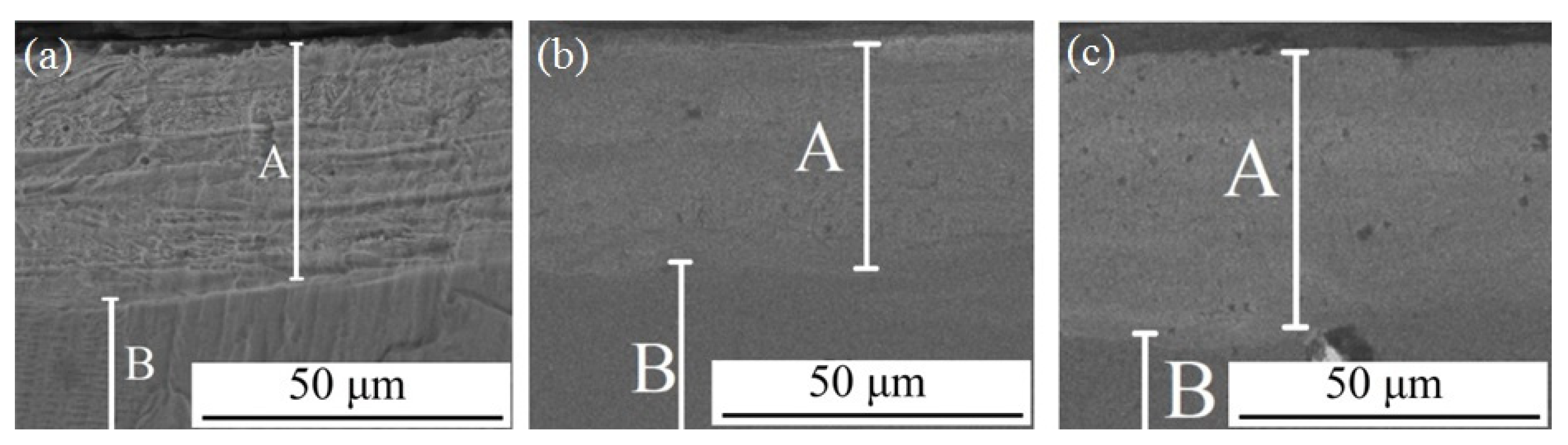 Coatings 12 00678 g002 550