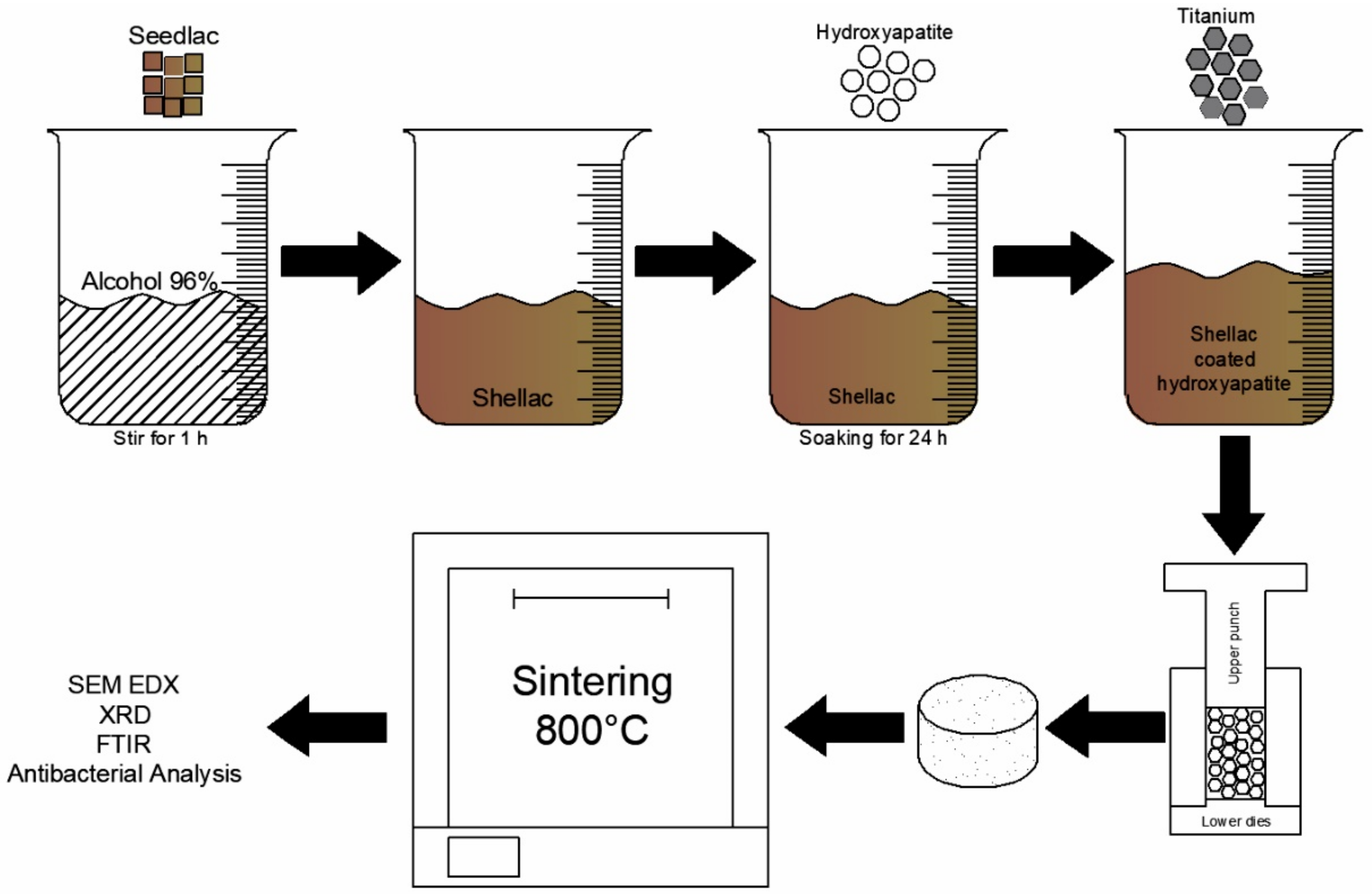 Coatings 12 00680 g001