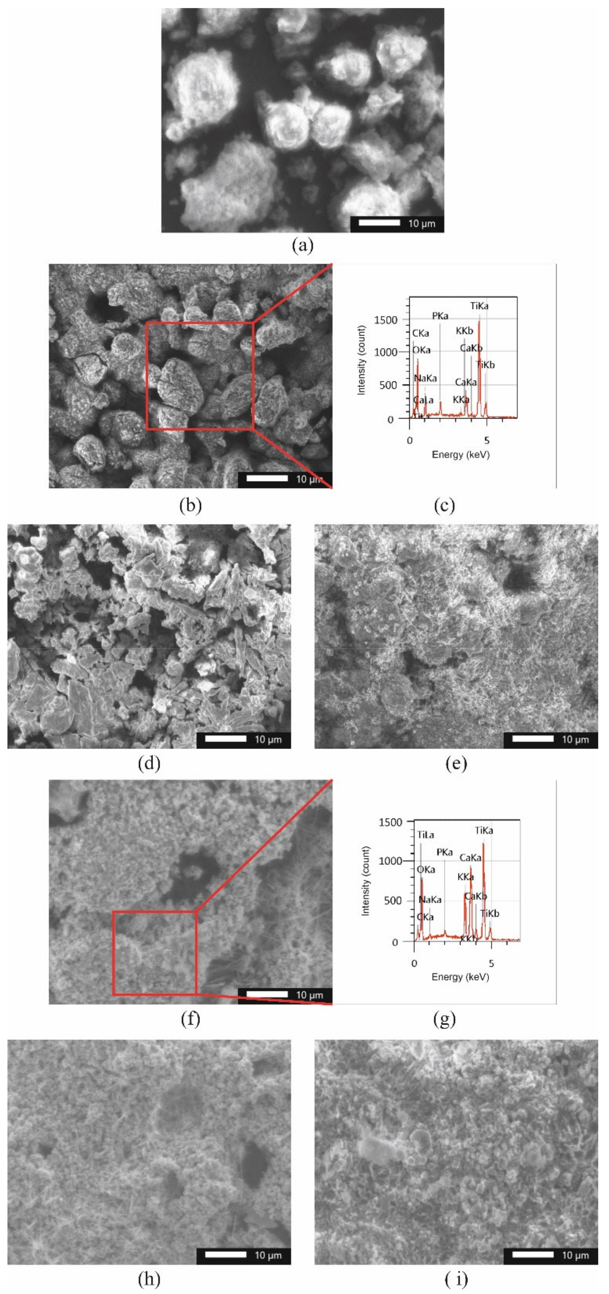 Coatings 12 00680 g005