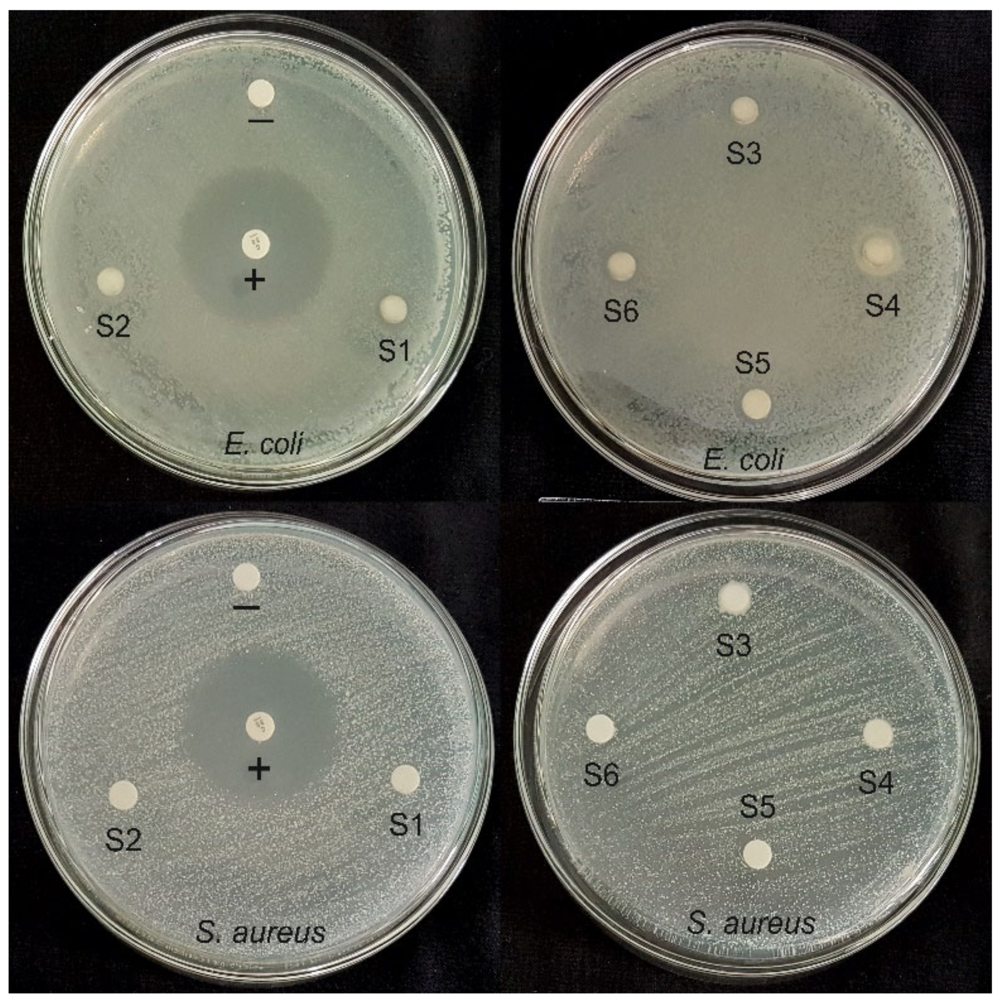 Coatings 12 00680 g006