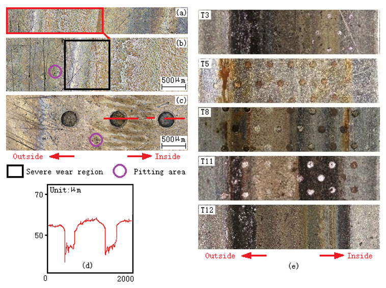 Coatings 12 00684 g007 550