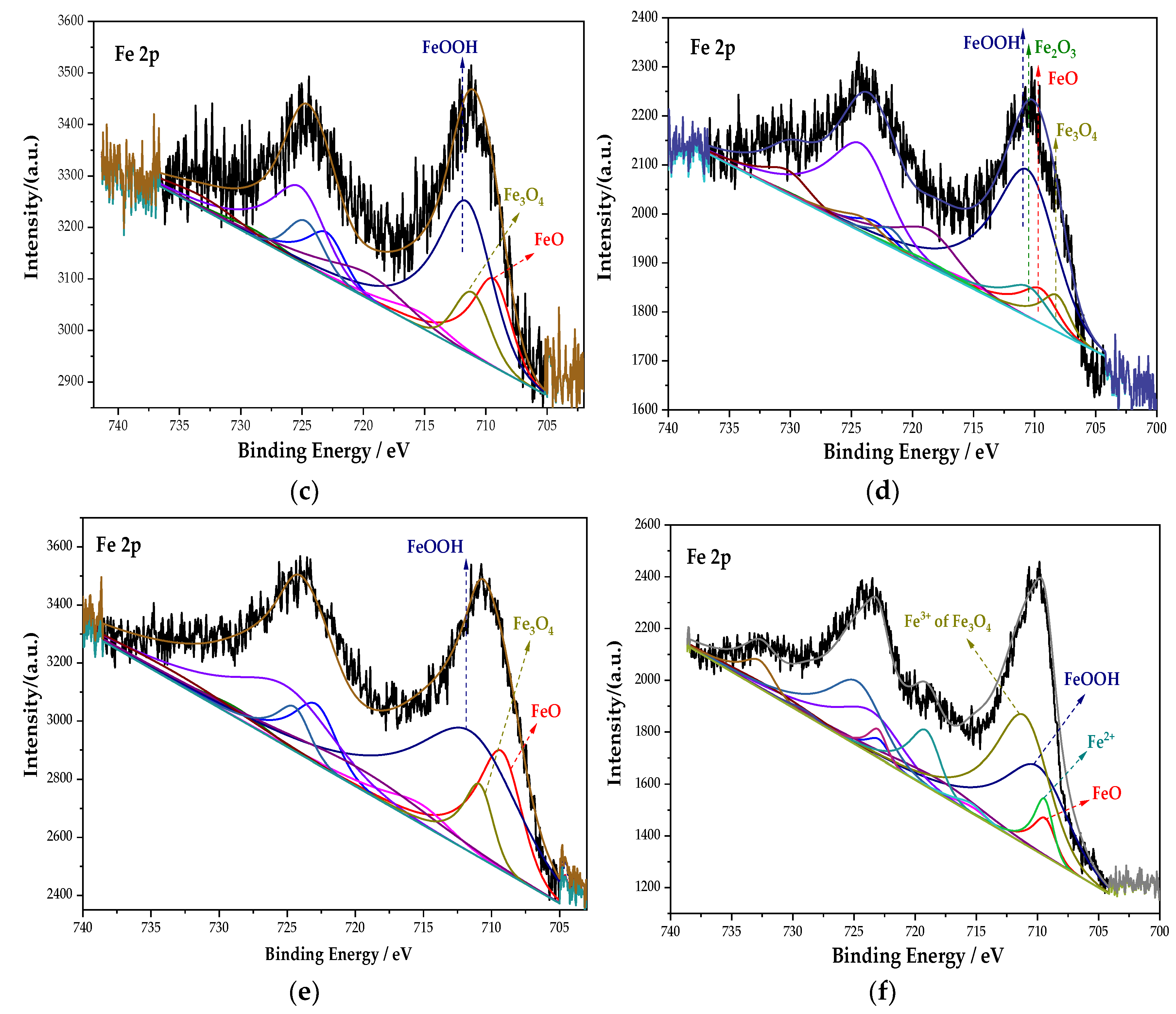 Coatings 12 00692 g005b