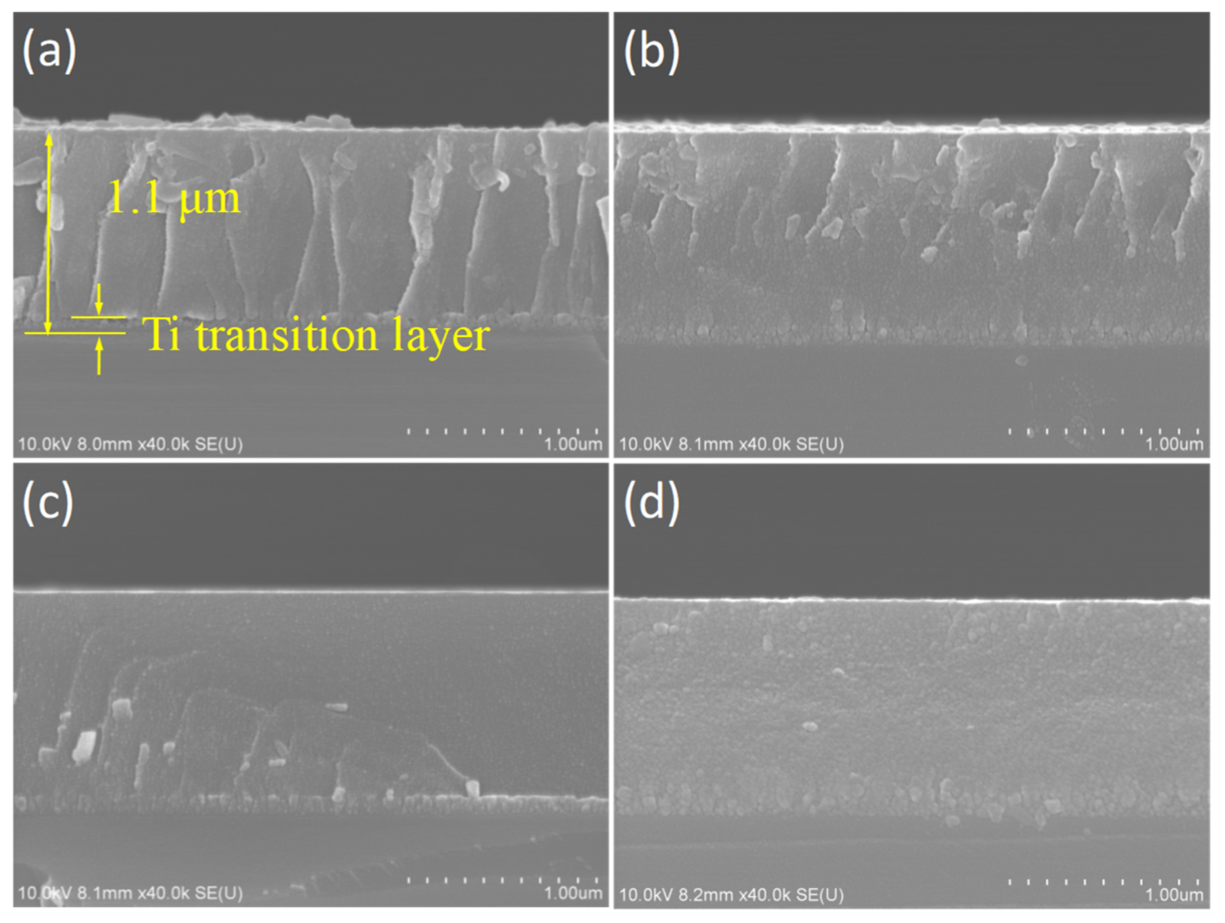 Coatings 12 00697 g001 550