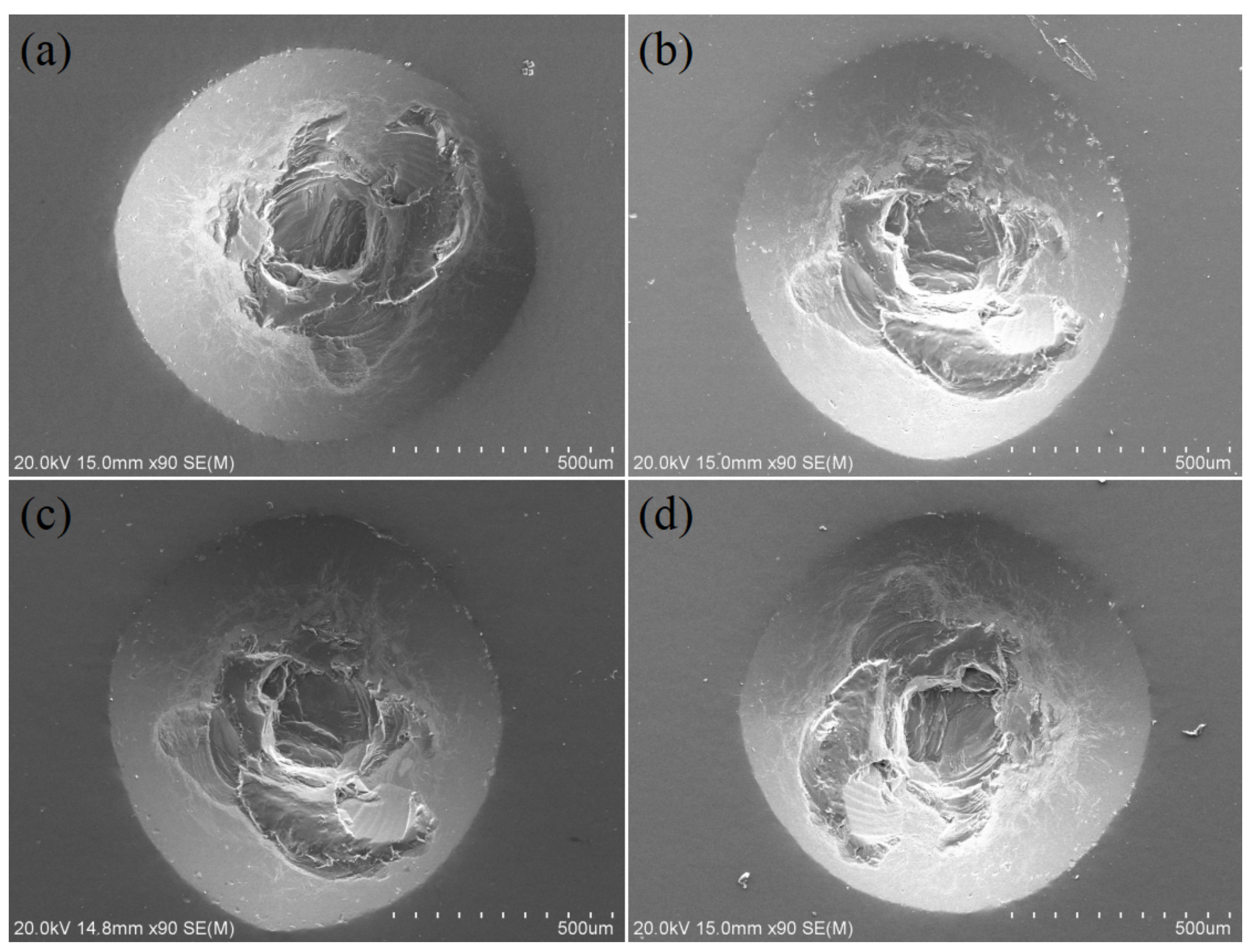 Coatings 12 00697 g007 550