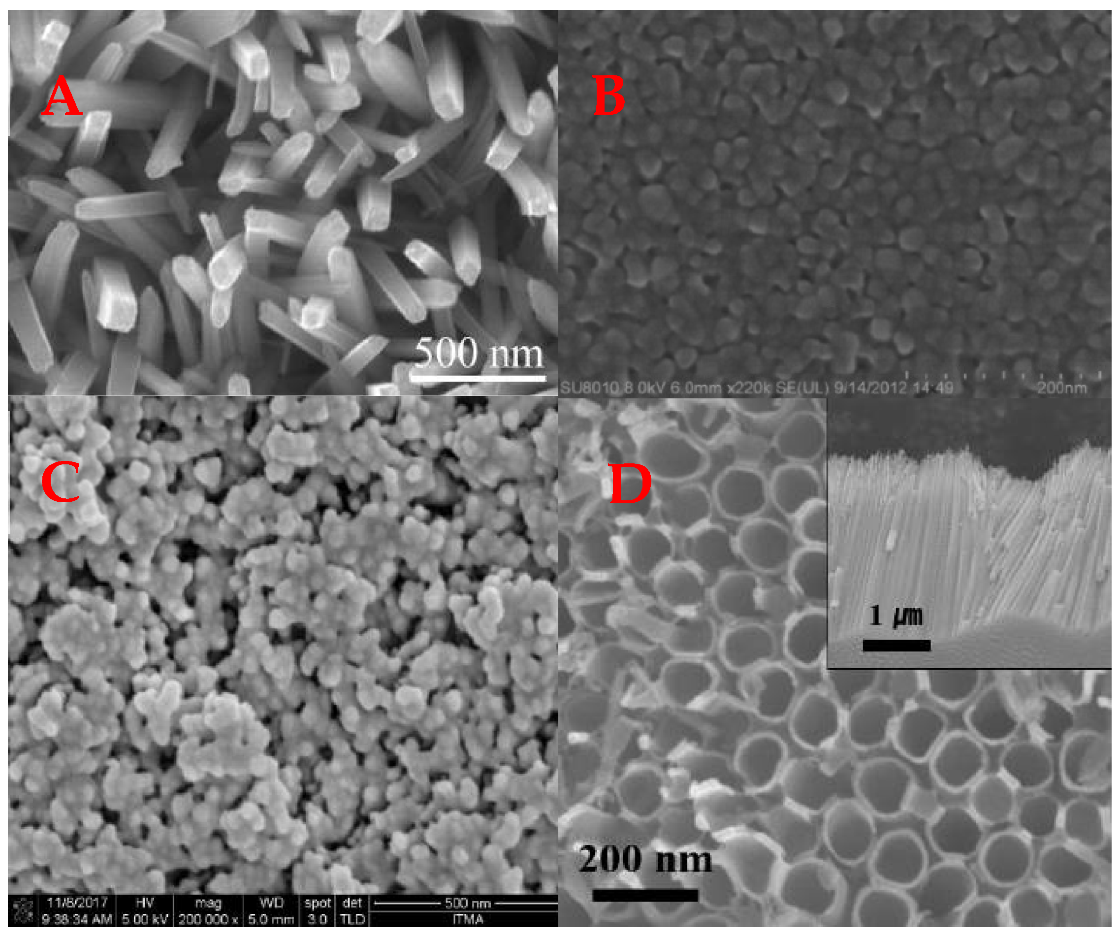 Coatings 12 00699 g005 550