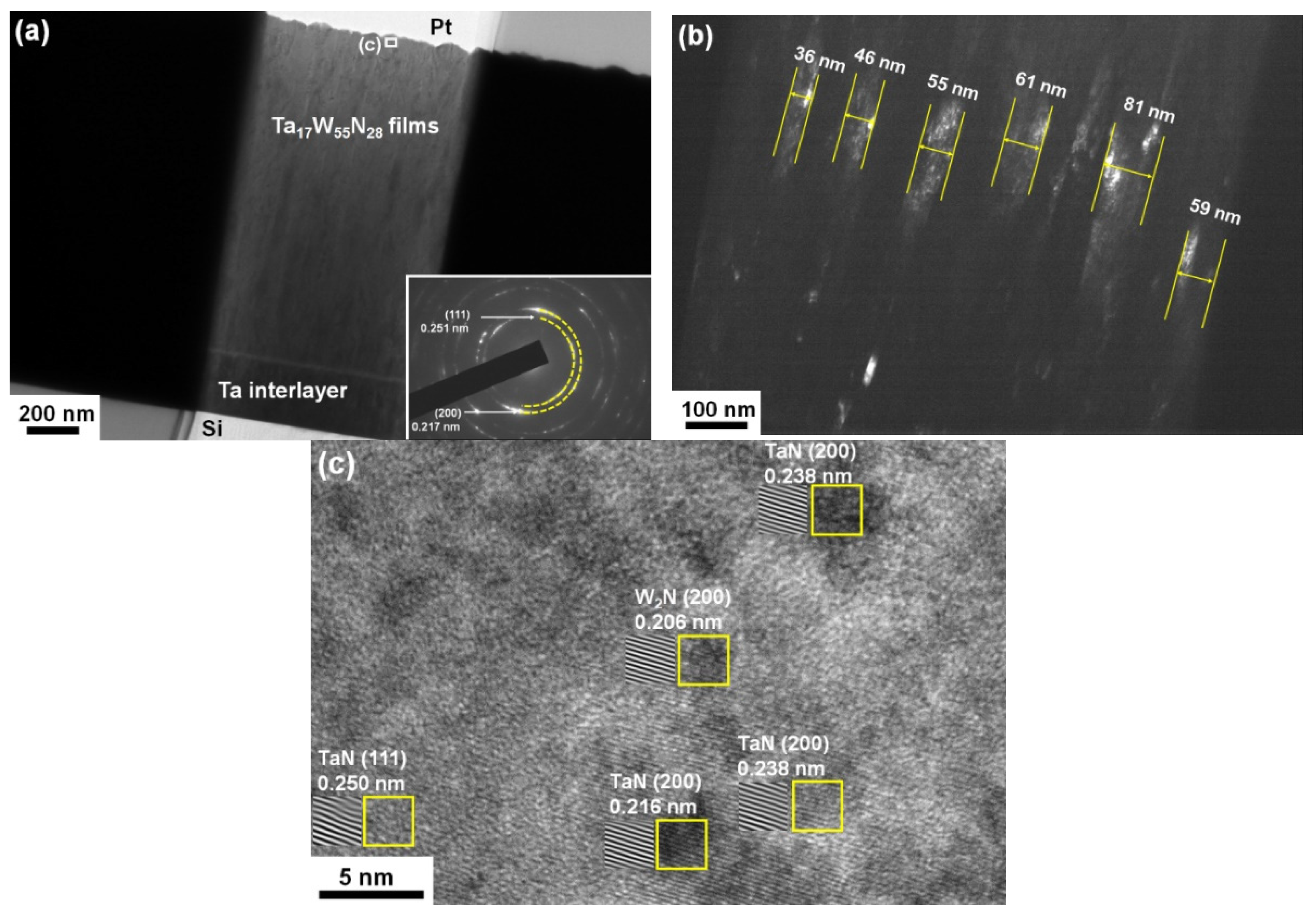 Coatings 12 00700 g003 550