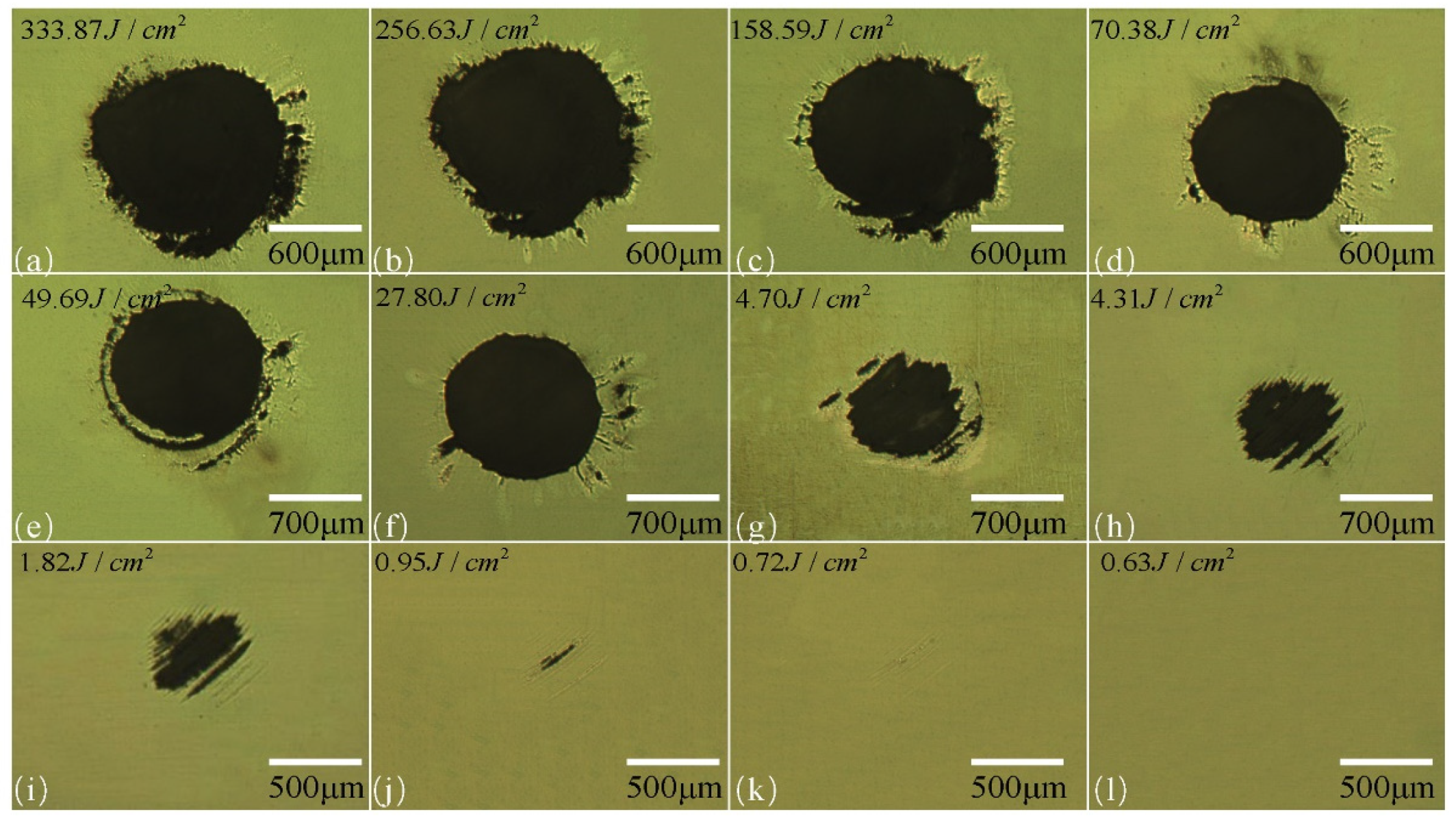 Coatings 12 00701 g003 550