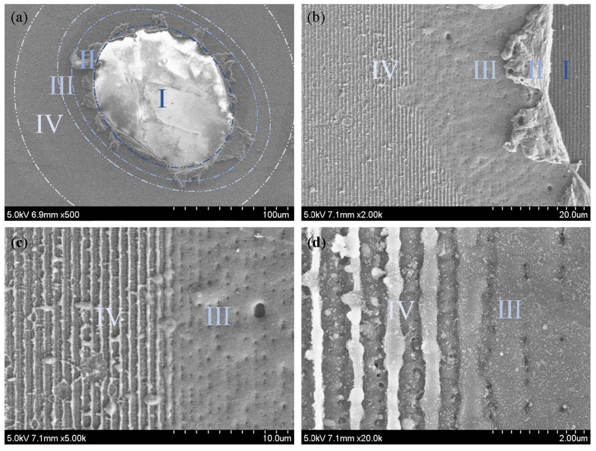 Coatings 12 00701 g005 550