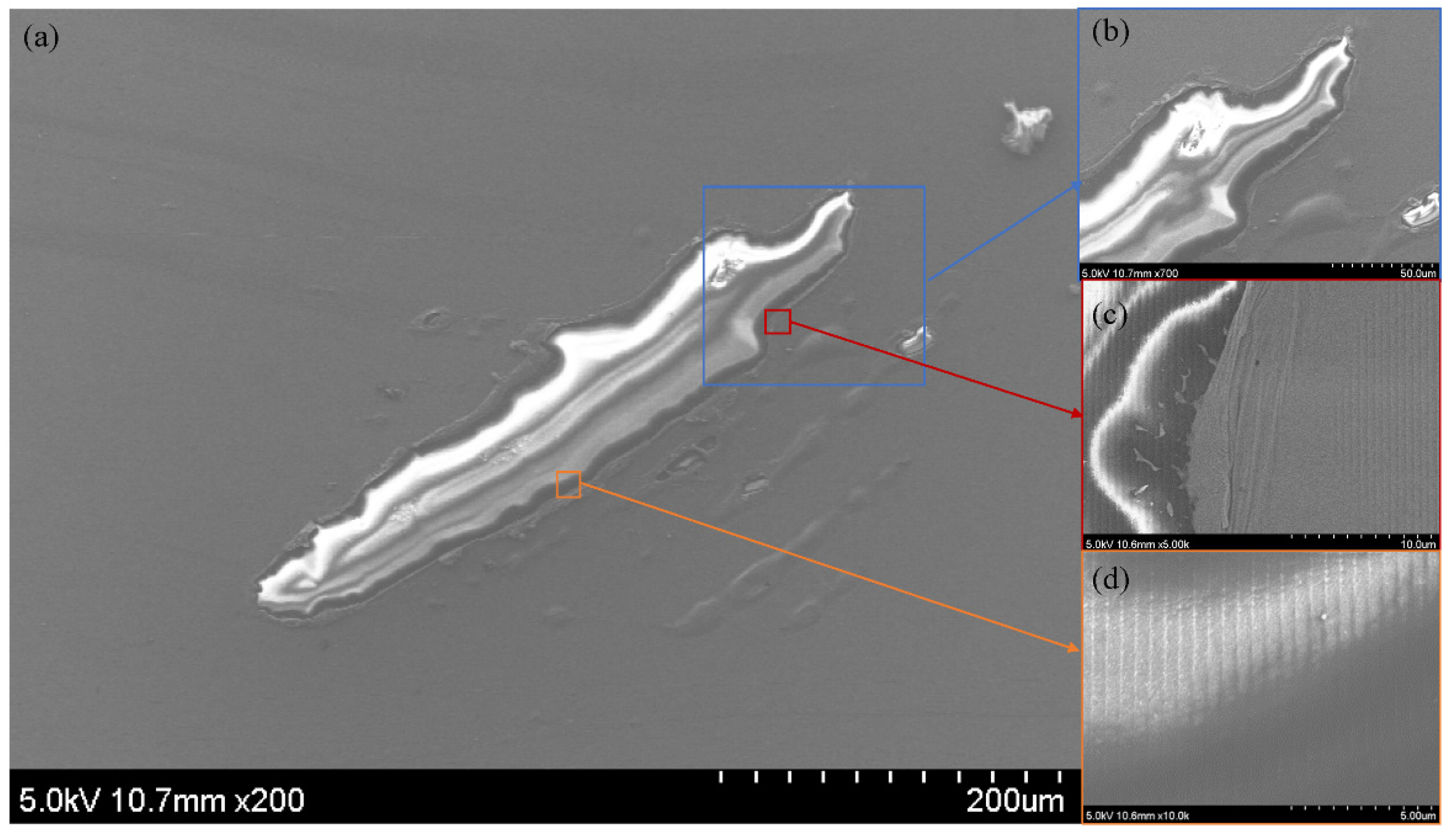 Coatings 12 00701 g006 550