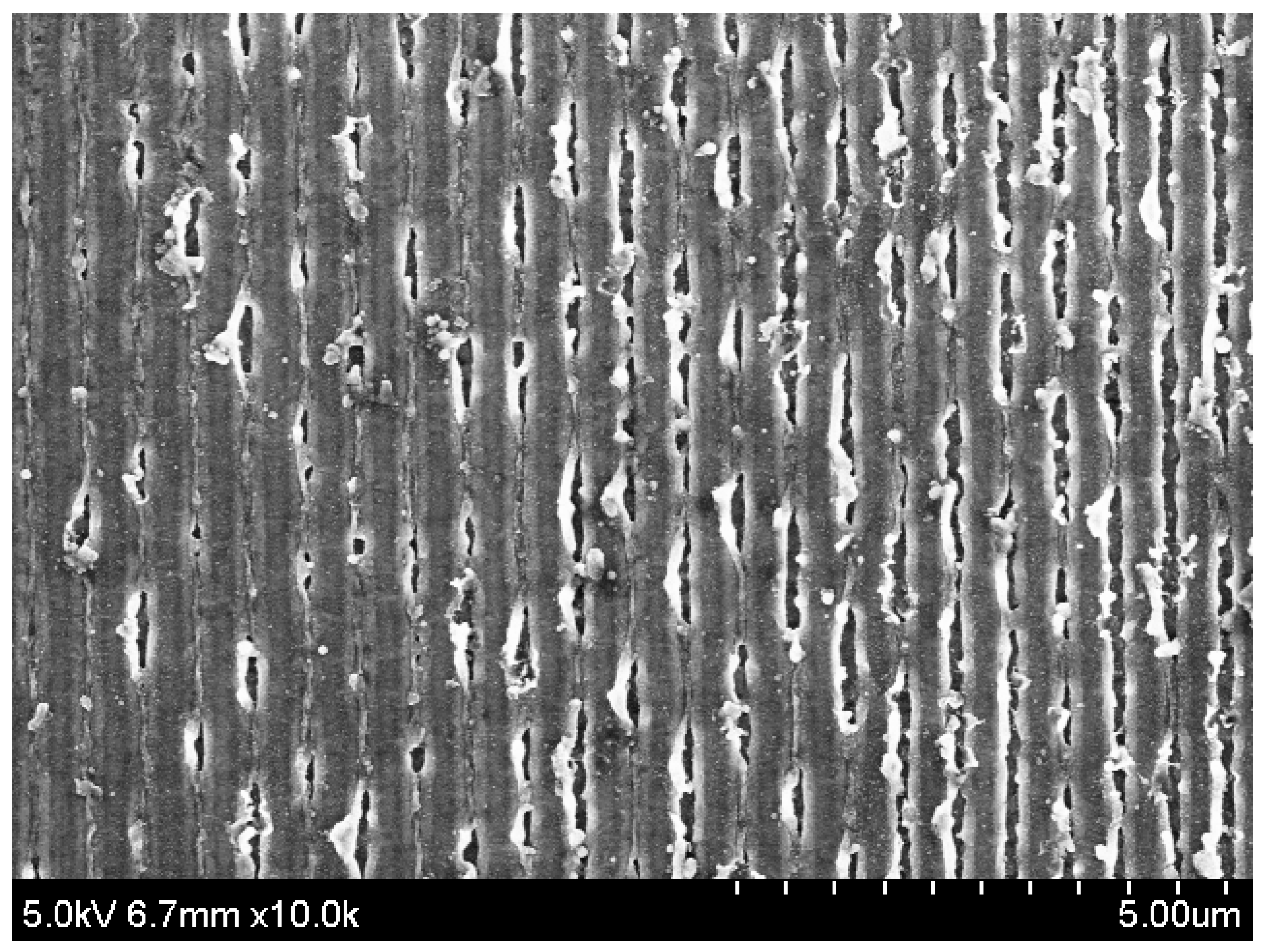 Coatings 12 00701 g007 550