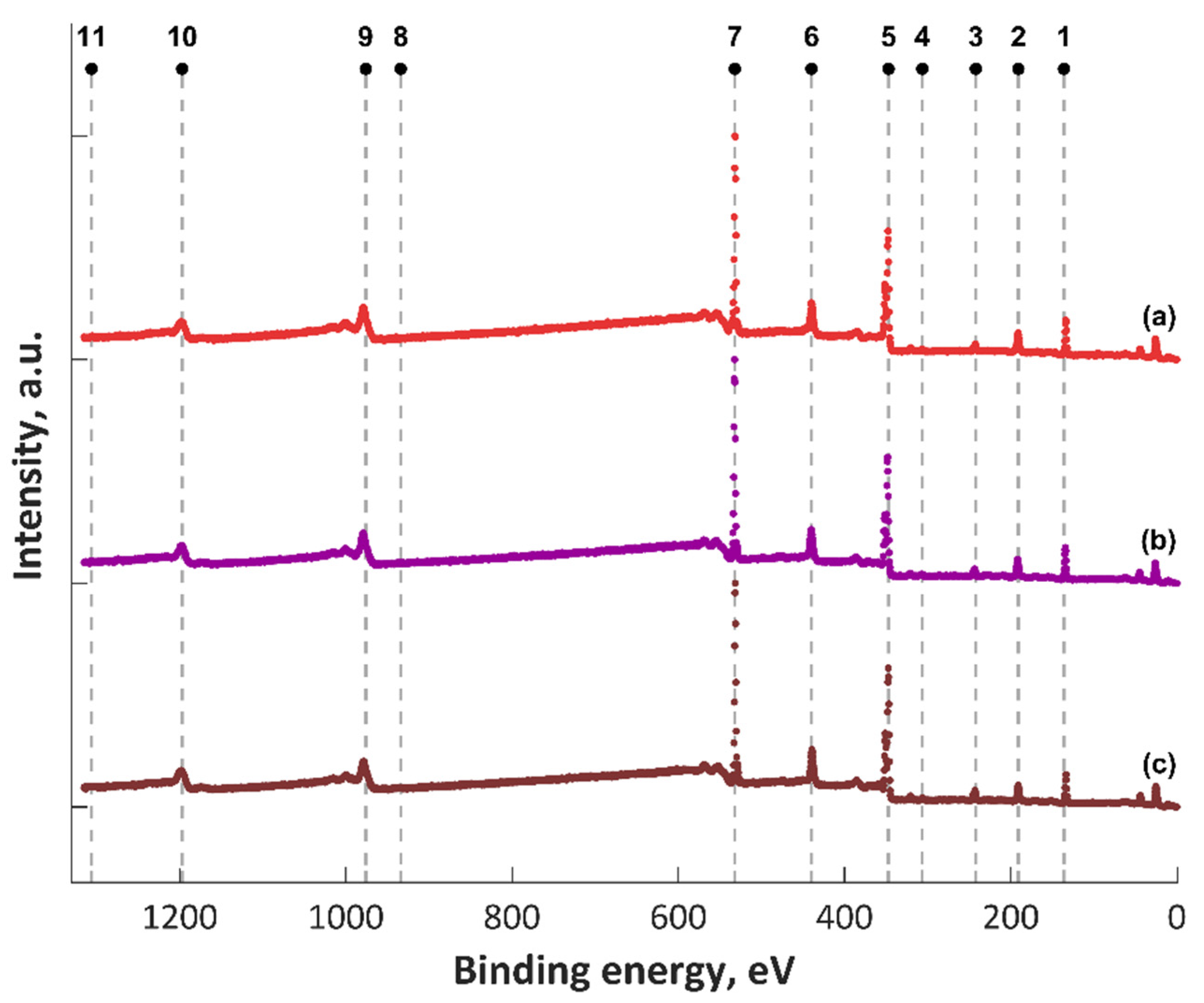 Coatings 12 00702 g007