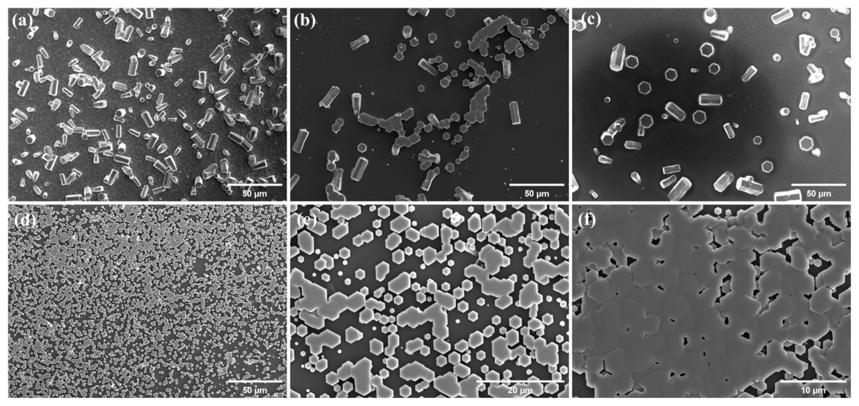 Coatings 12 00706 g002
