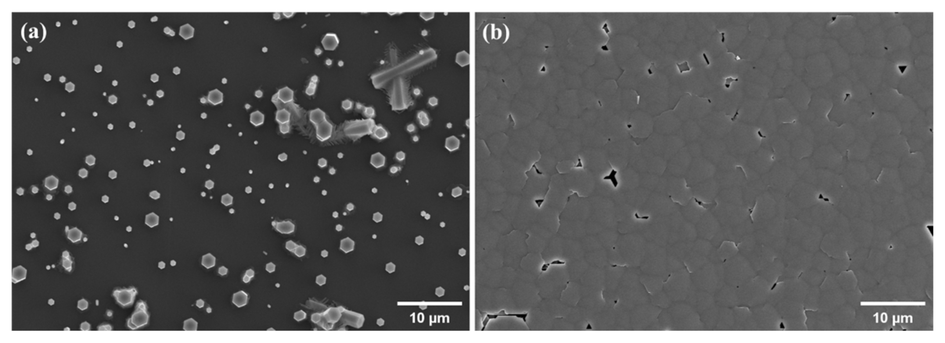Coatings 12 00706 g003