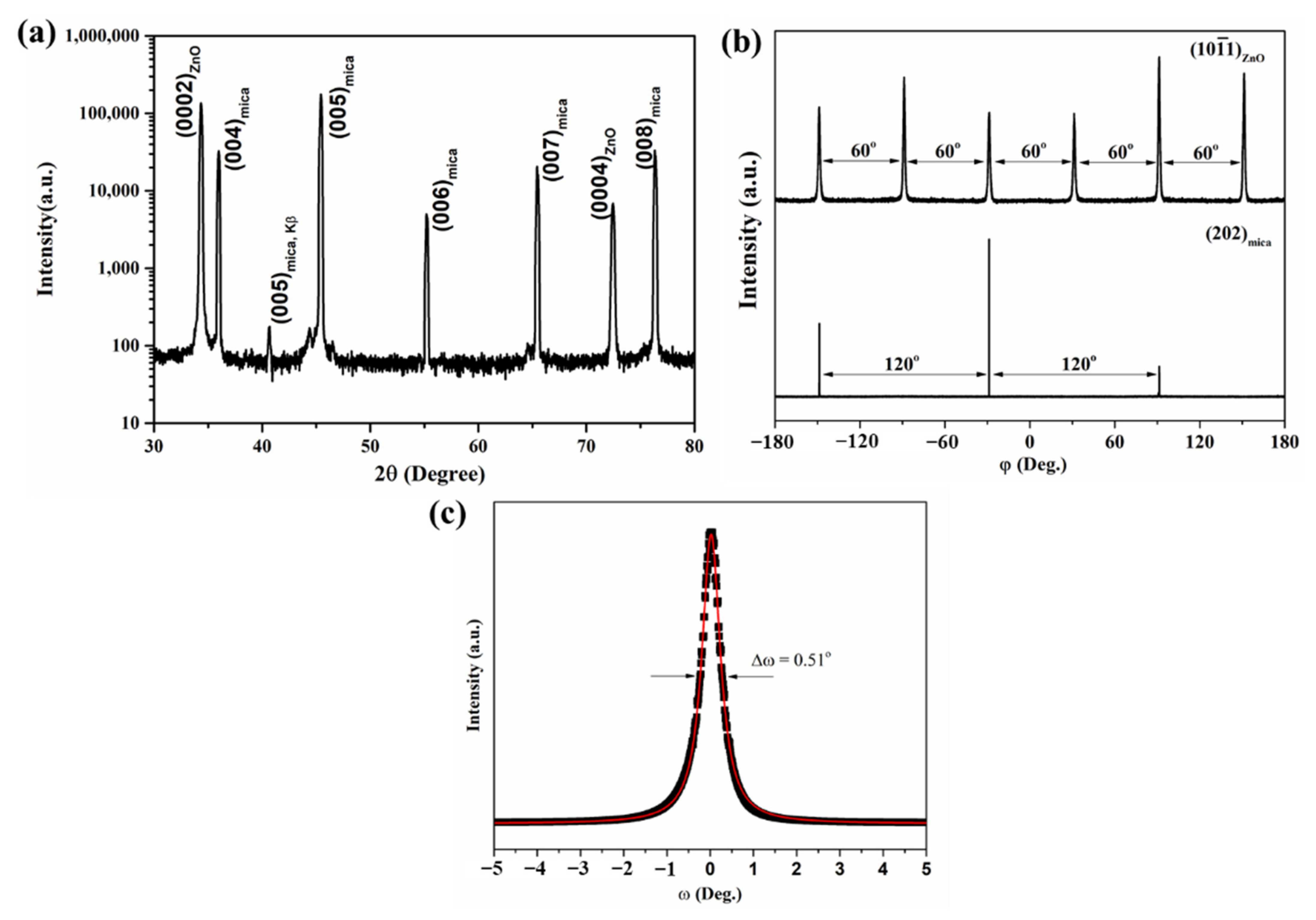 Coatings 12 00706 g004