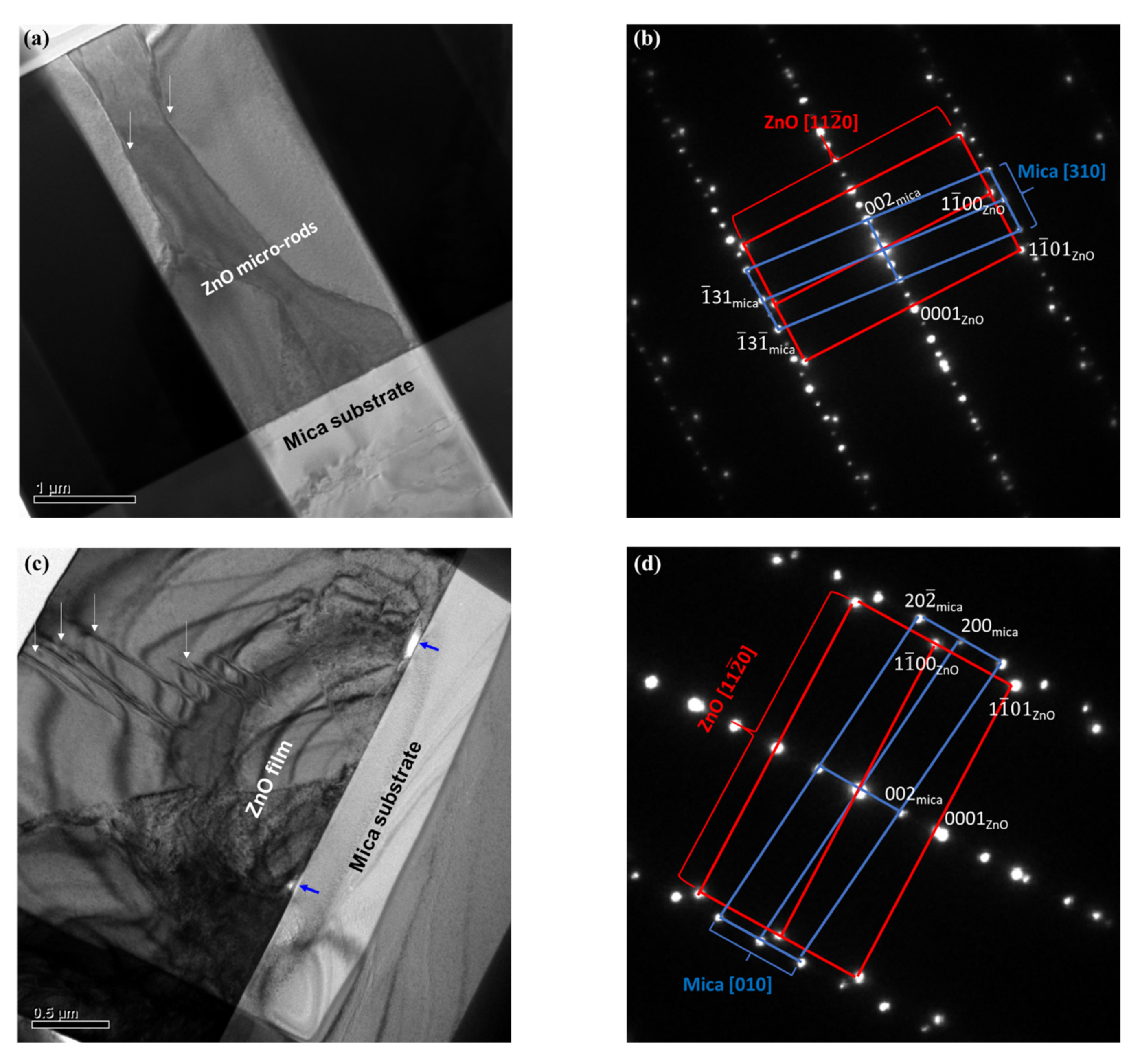 Coatings 12 00706 g005