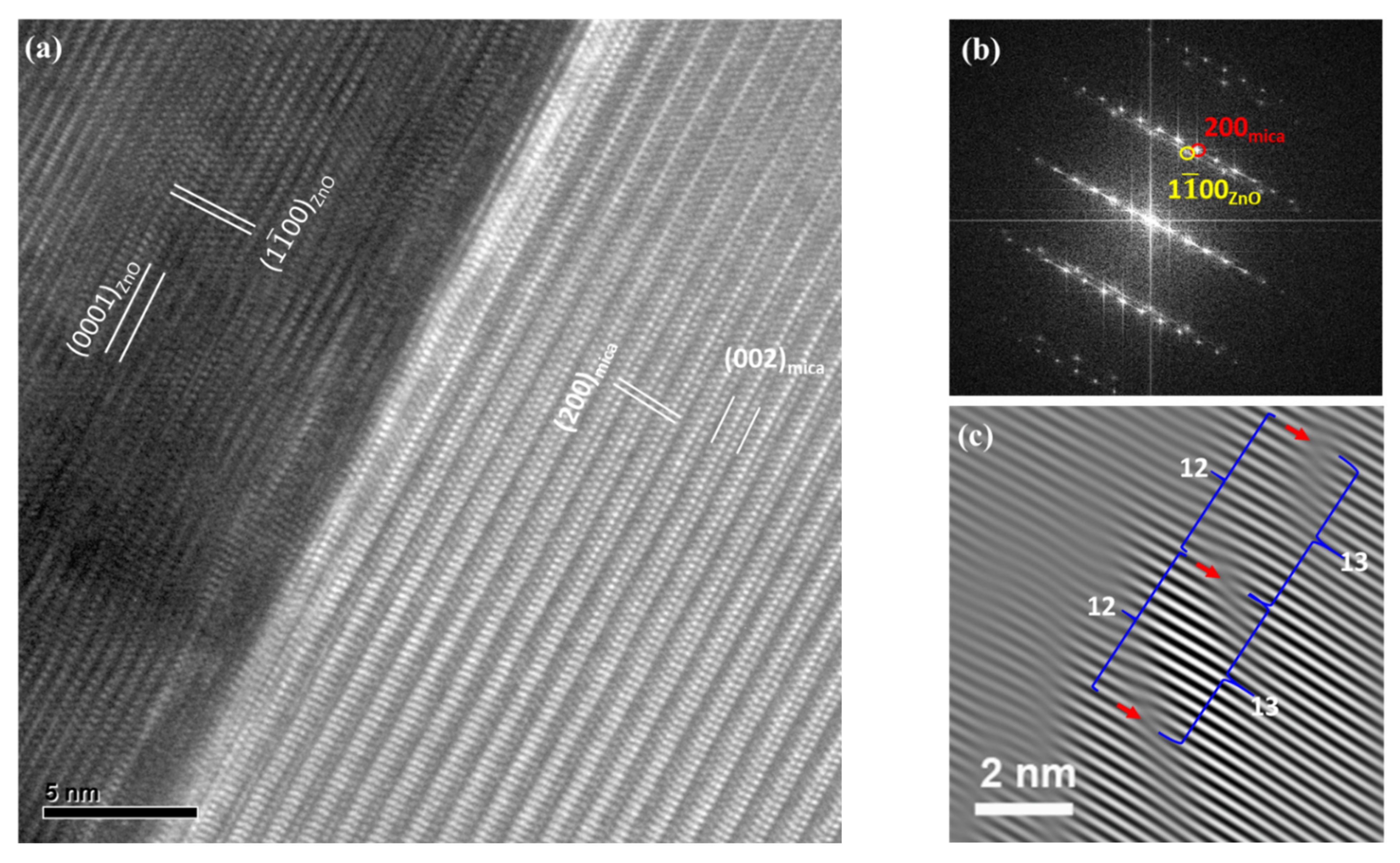 Coatings 12 00706 g006