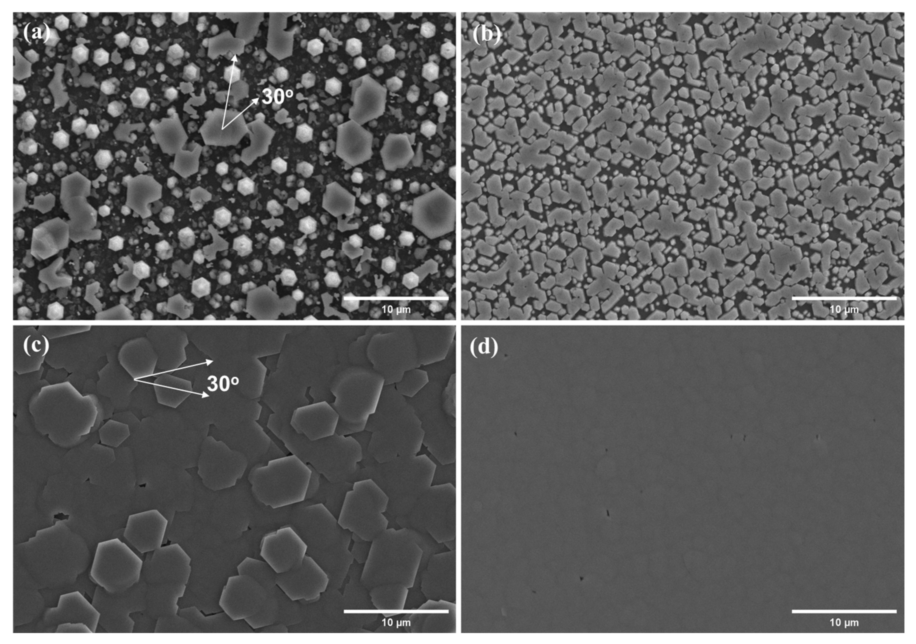 Coatings 12 00706 g008