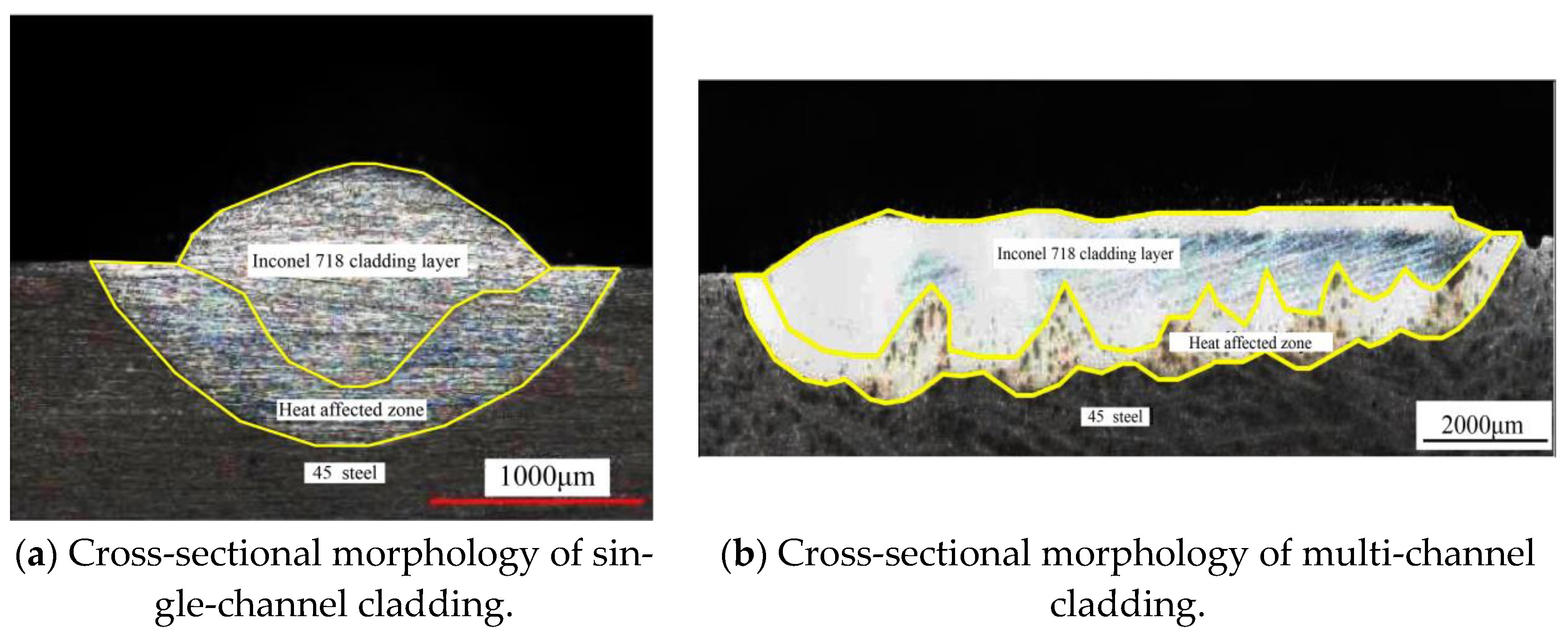 Coatings 12 00708 g014 Coatings 12 00708 g014