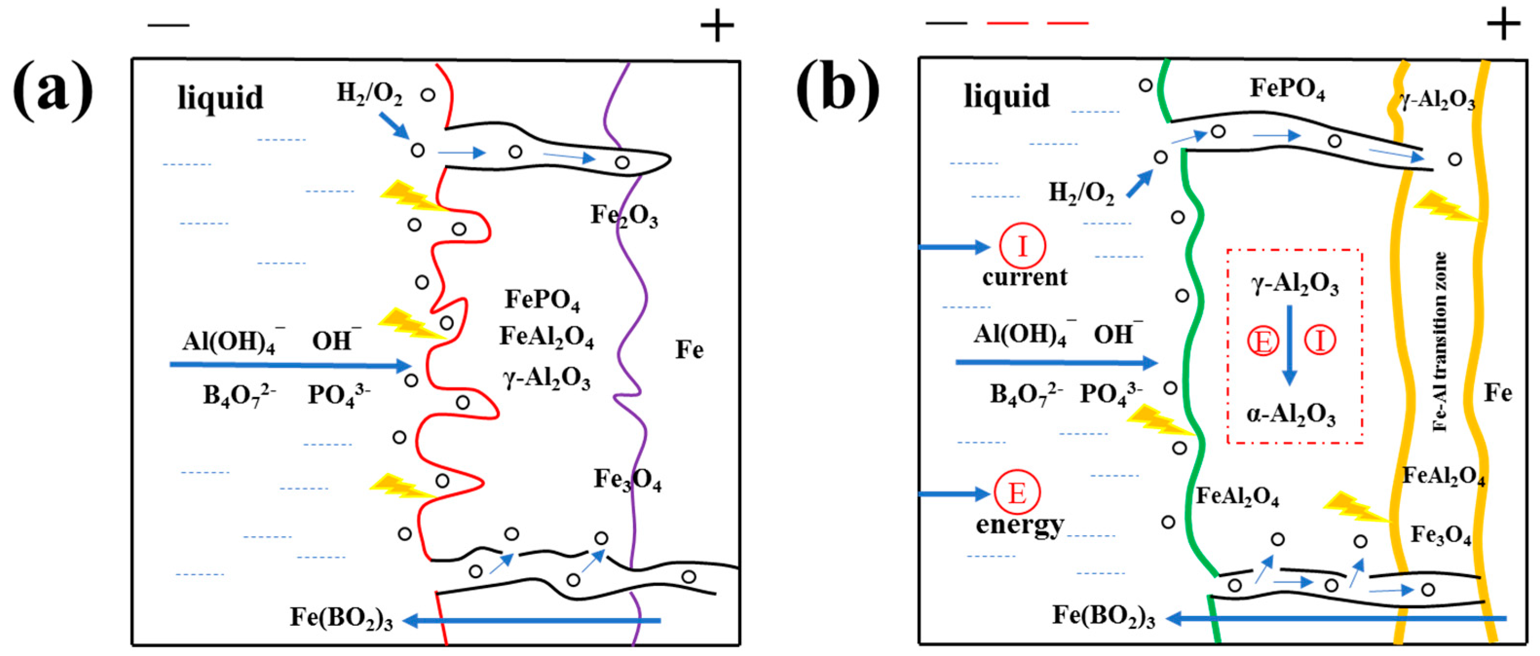 Coatings 12 00710 g005