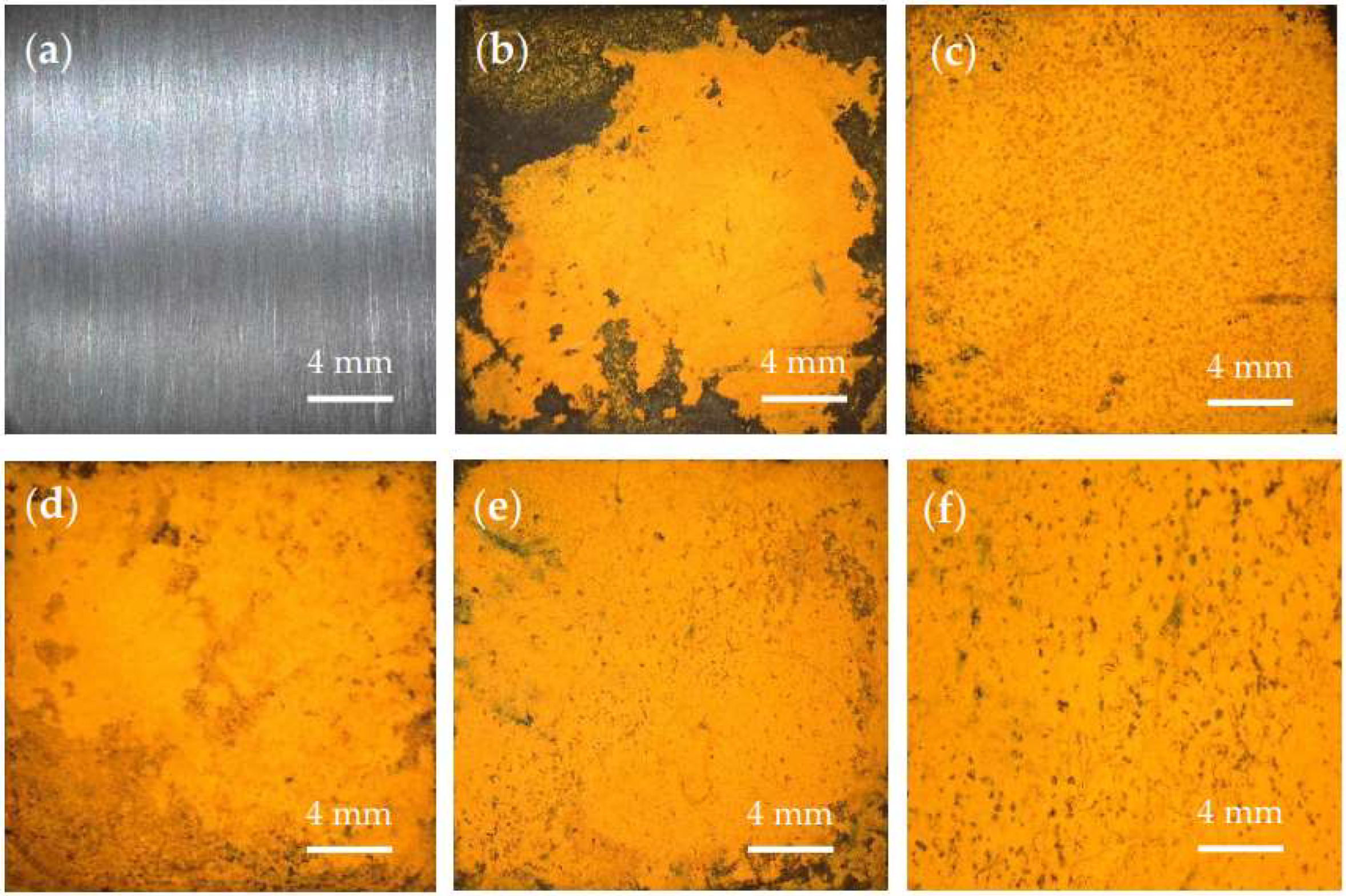 Coatings 12 00713 g002